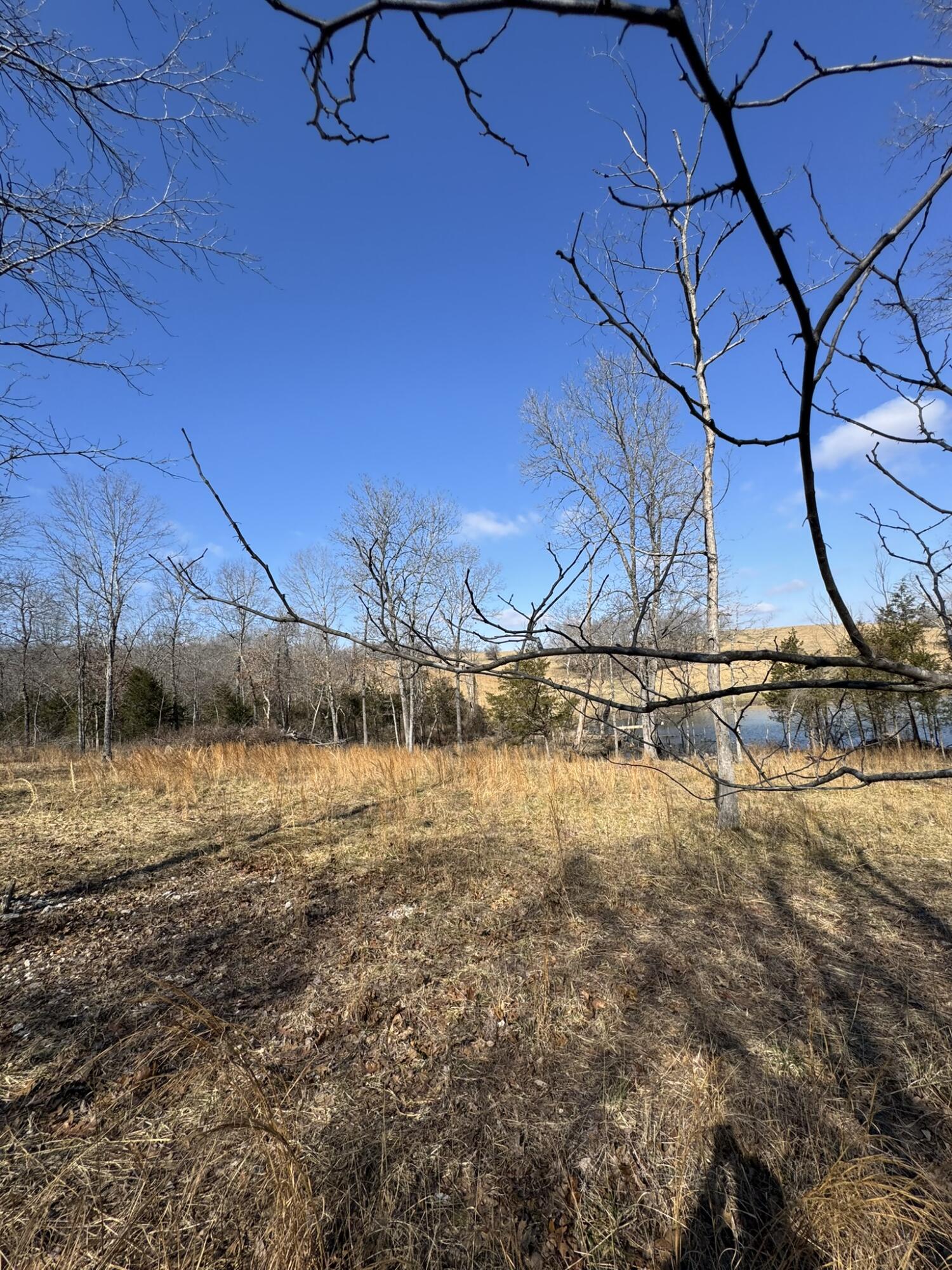 000 County Road 359 Property Photo 15