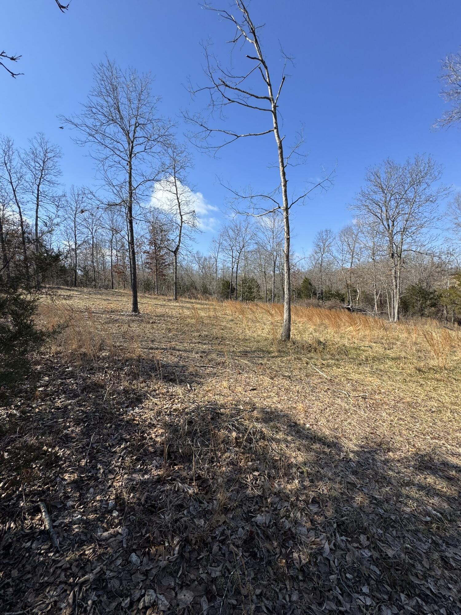 000 County Road 359 Property Photo 16