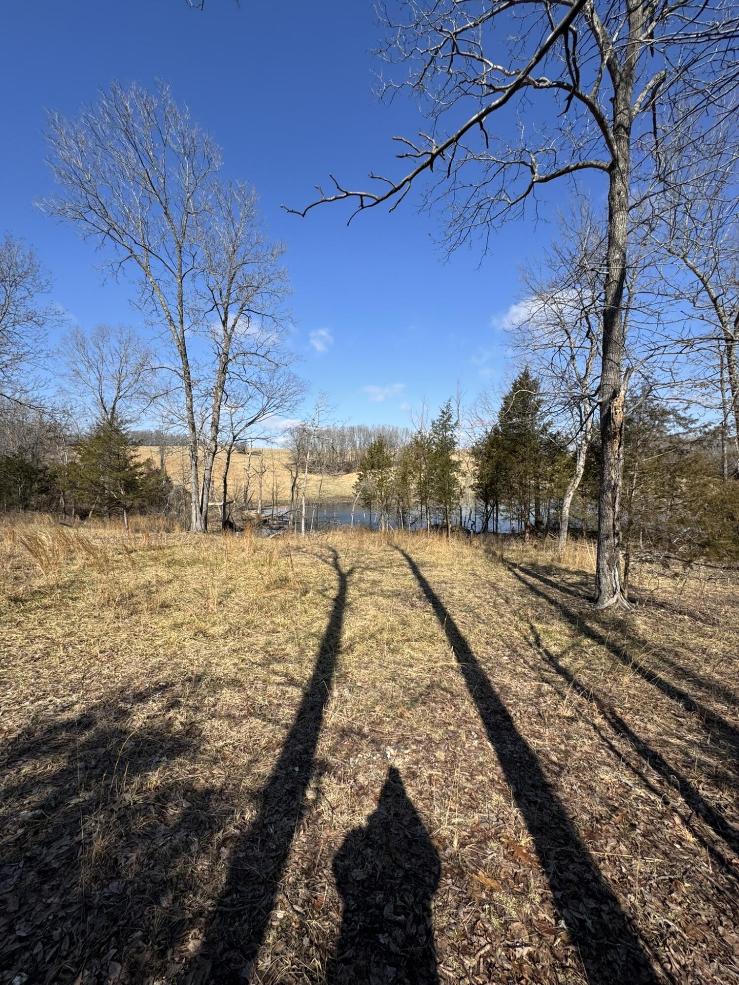 000 County Road 359 Property Photo 17