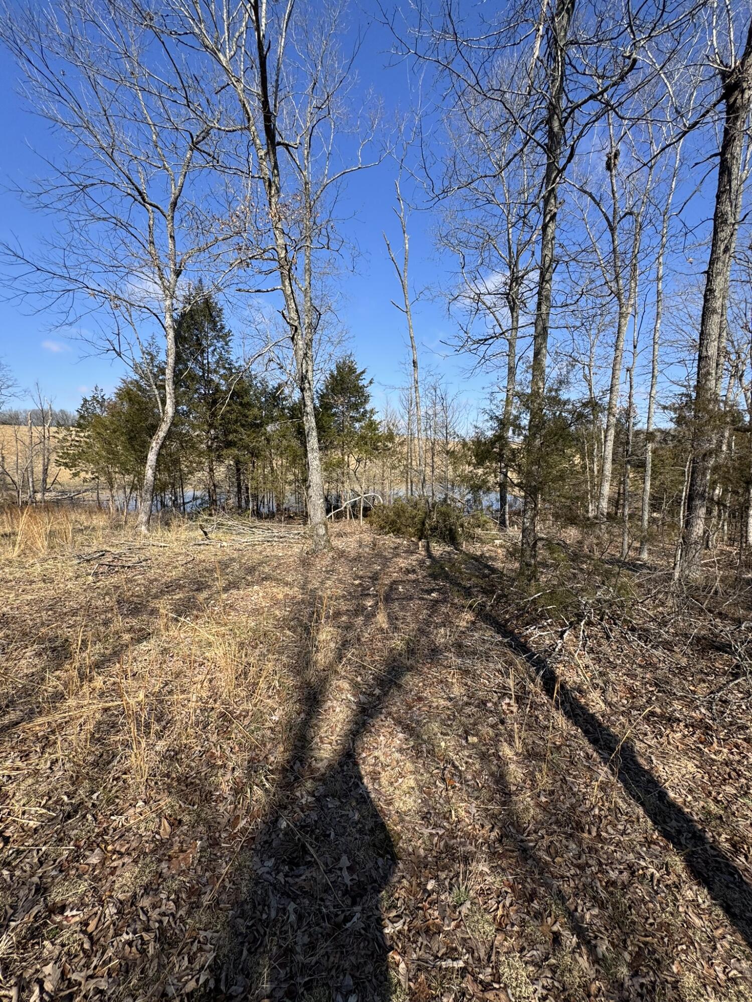 000 County Road 359 Property Photo 18