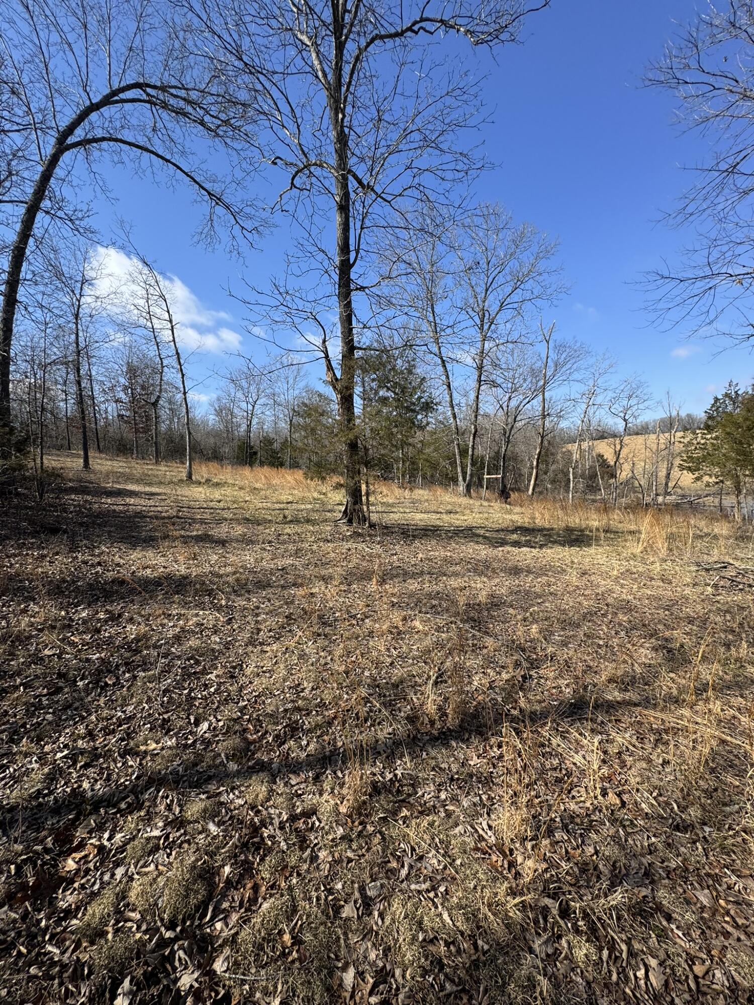 000 County Road 359 Property Photo 19