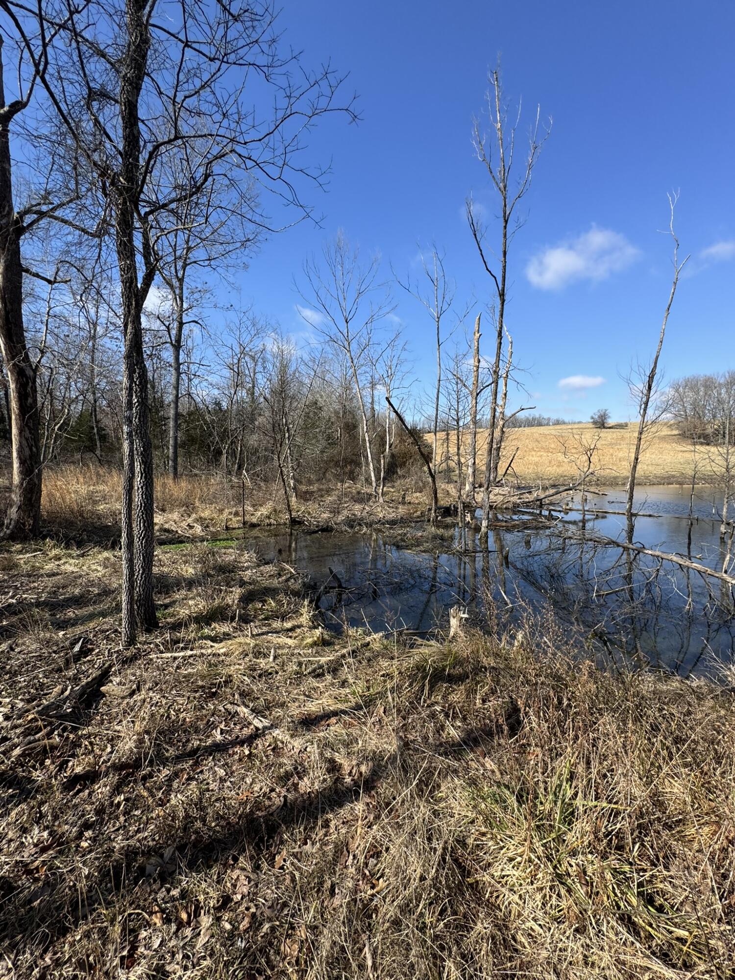 000 County Road 359 Property Photo 20