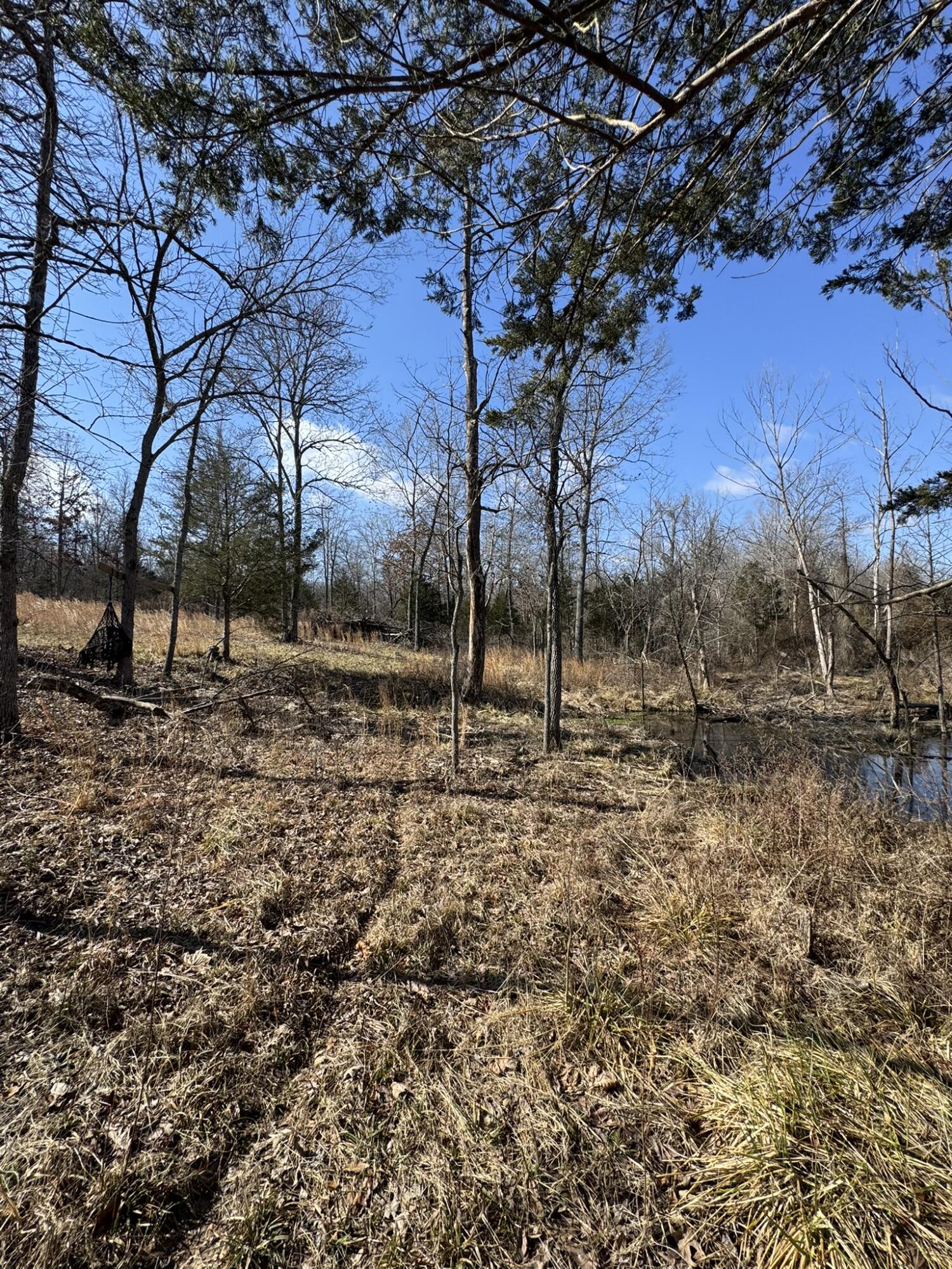 000 County Road 359 Property Photo 21