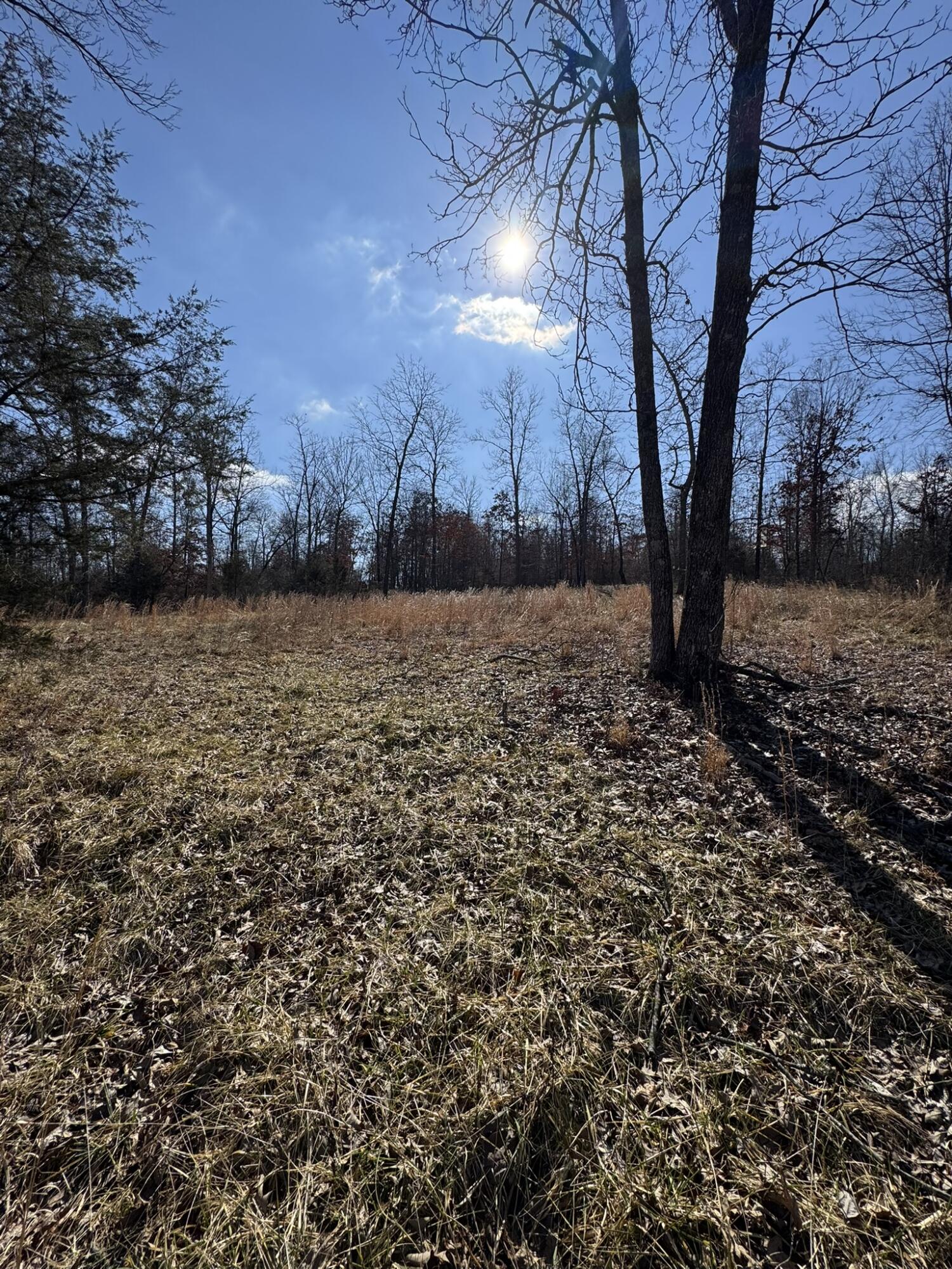000 County Road 359 Property Photo 25
