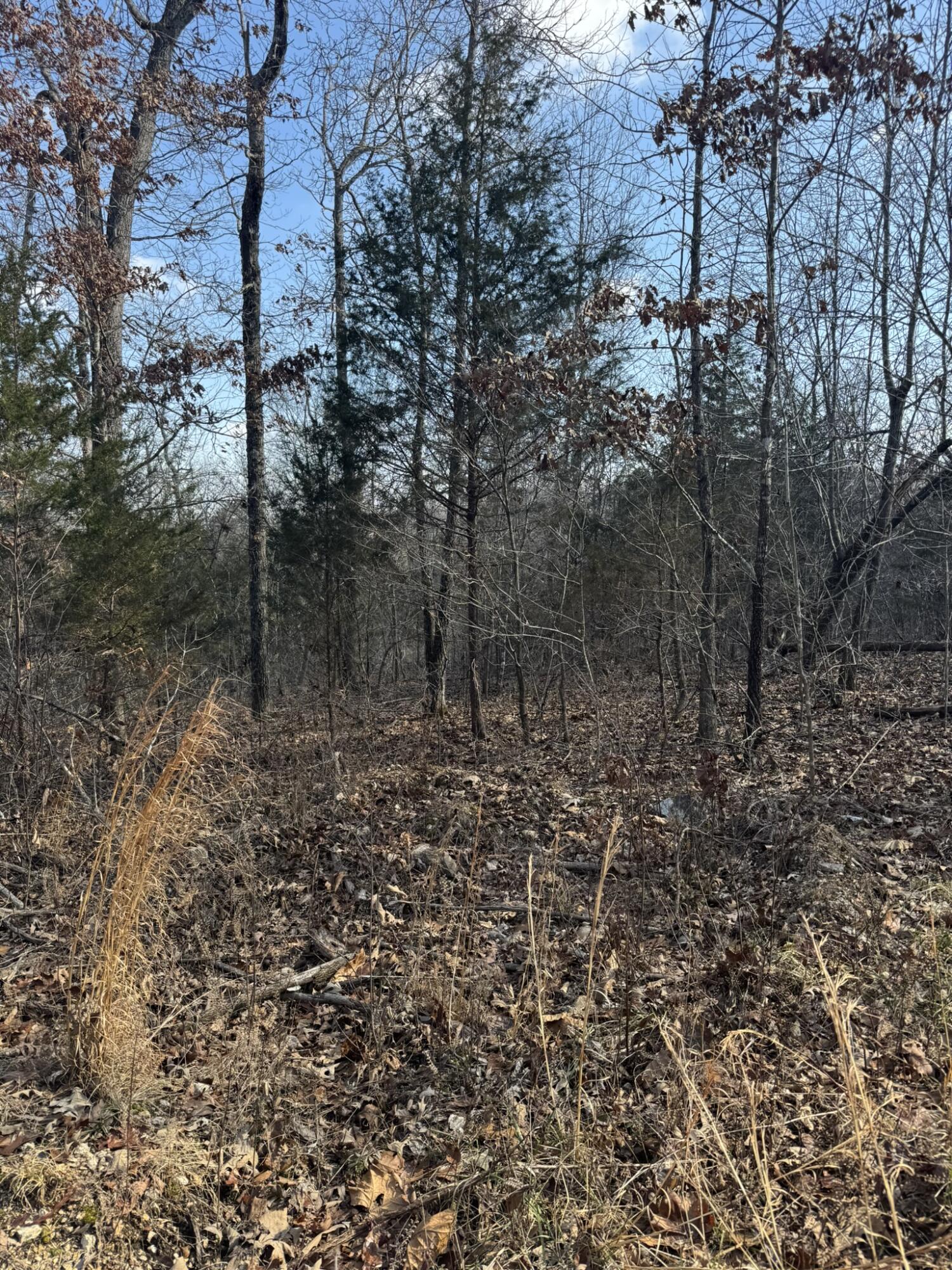 000 County Road 359 Property Photo 27