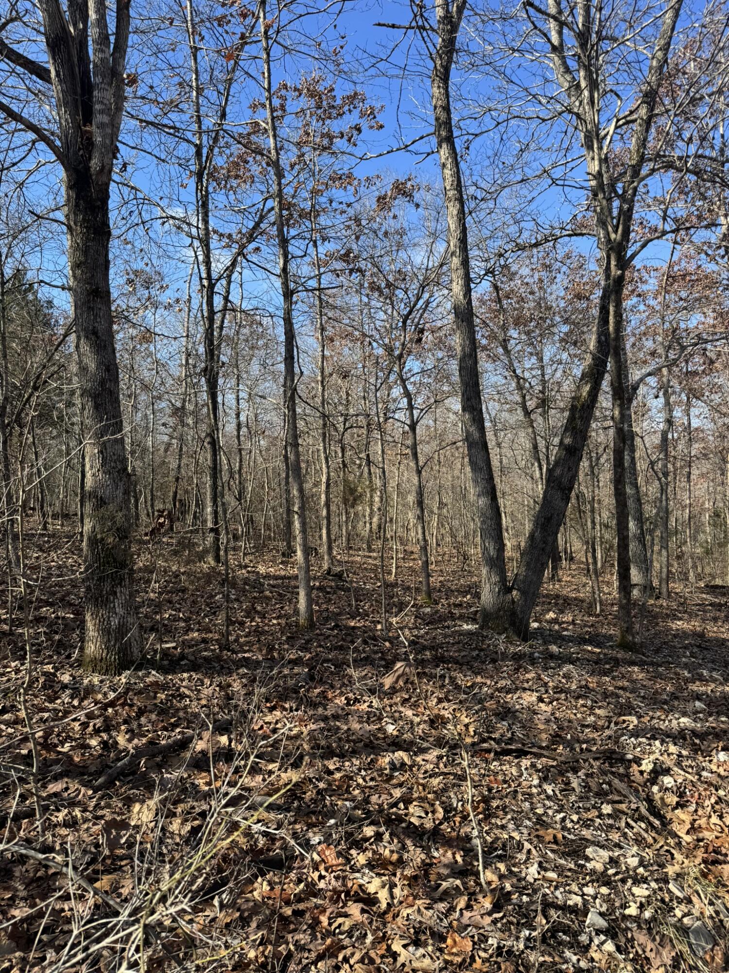 000 County Road 359 Property Photo 29