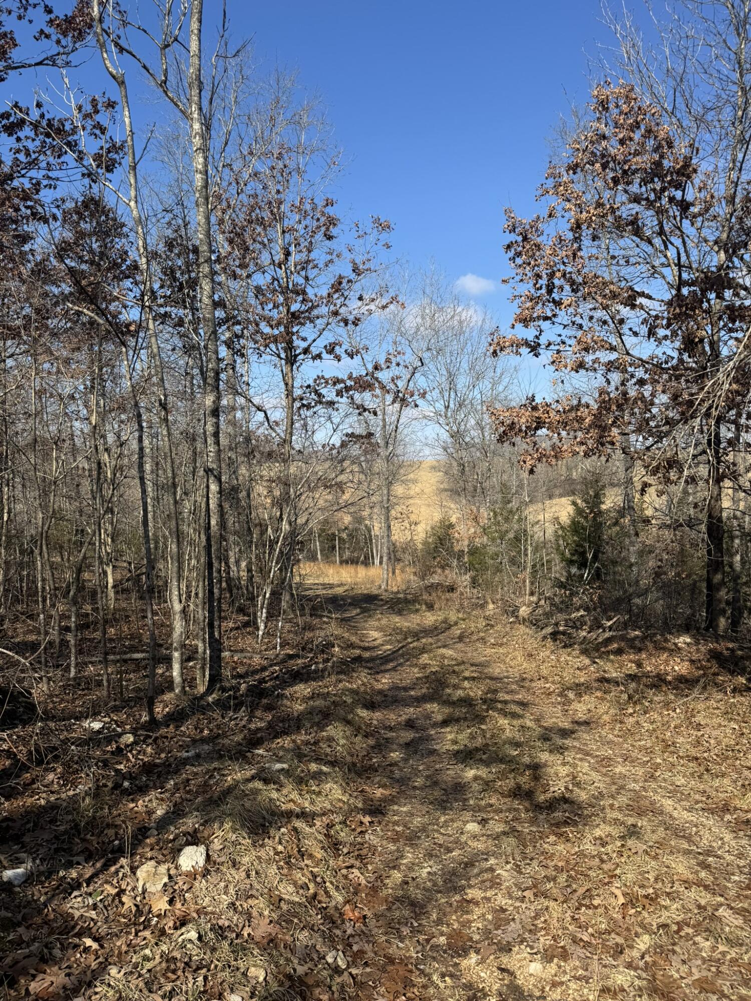 000 County Road 359 Property Photo 30