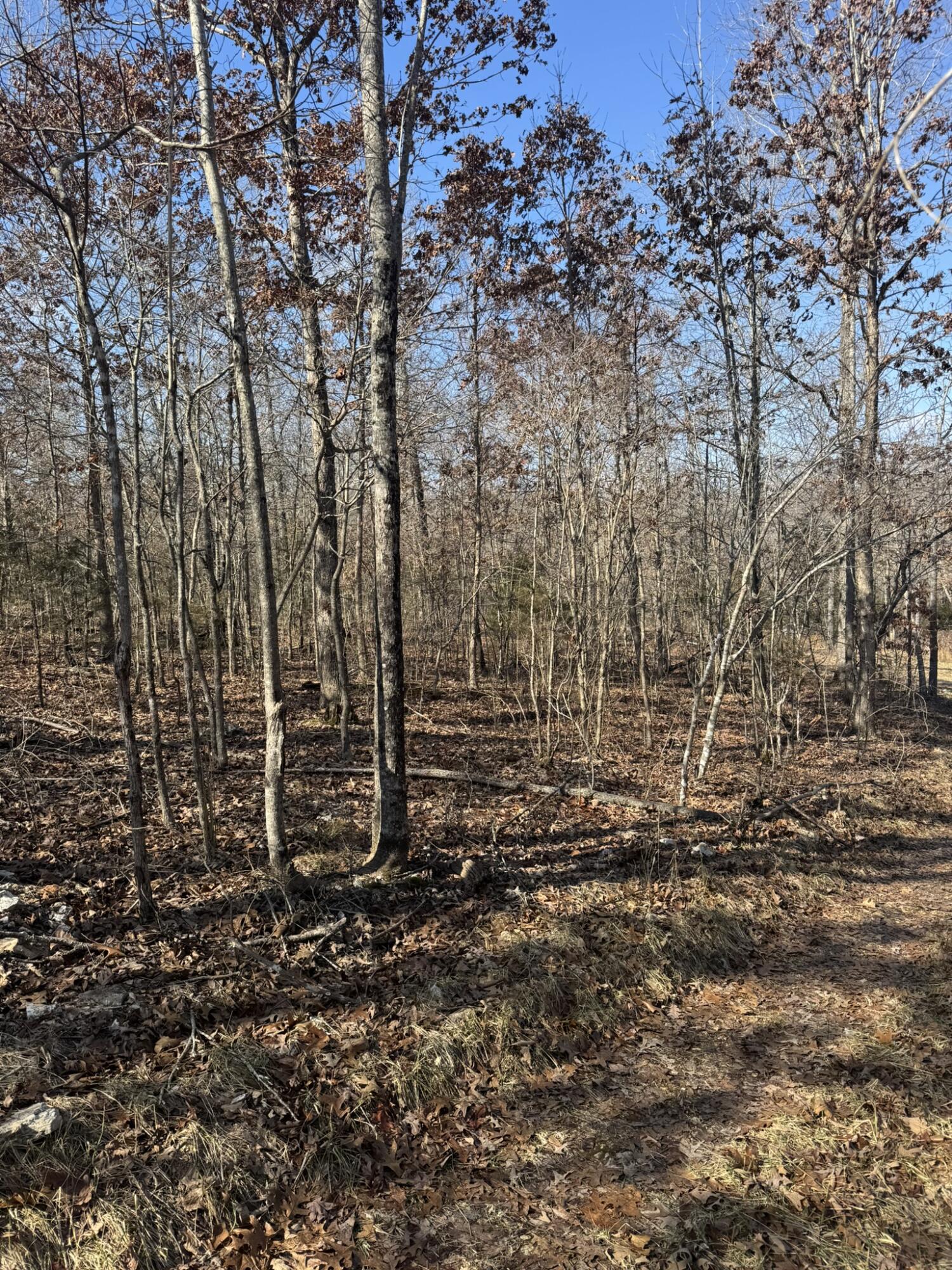 000 County Road 359 Property Photo 31