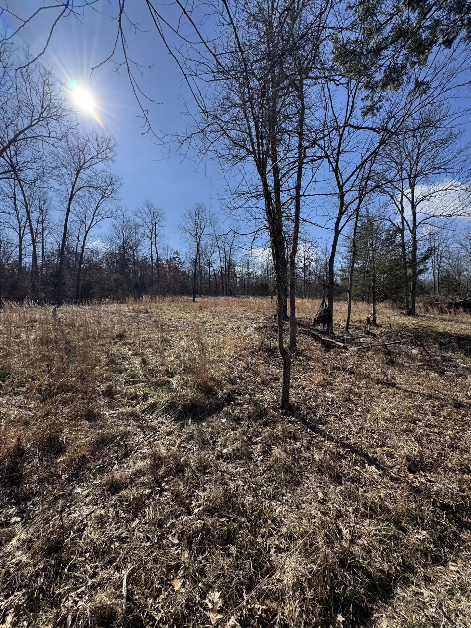 000 County Road 359 Property Photo 32