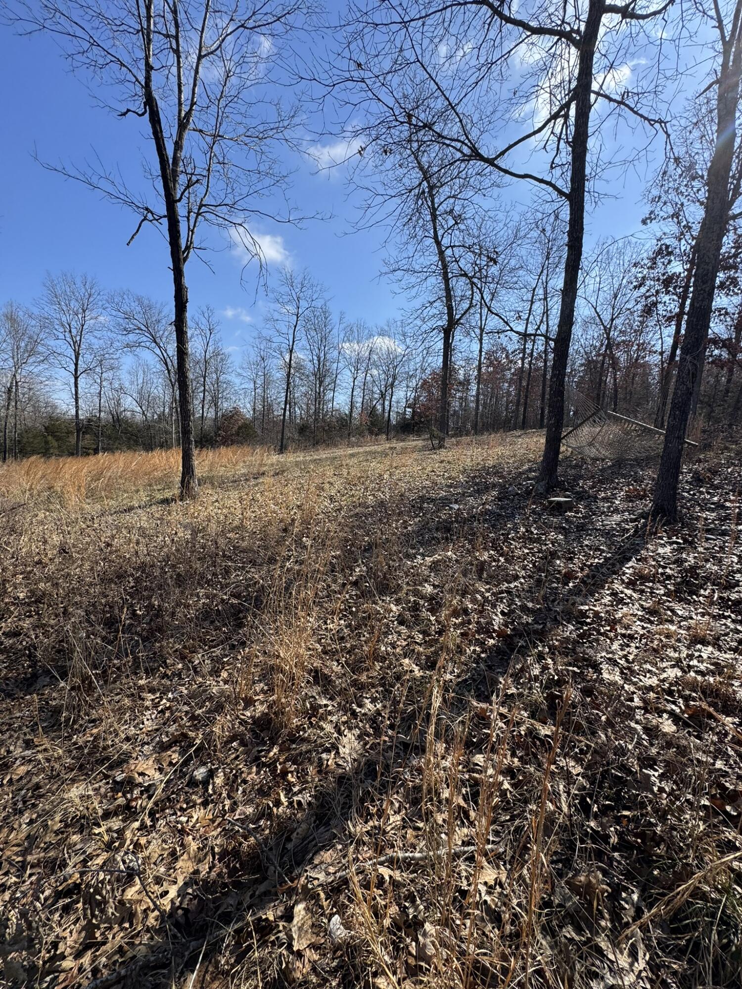 000 County Road 359 Property Photo 33