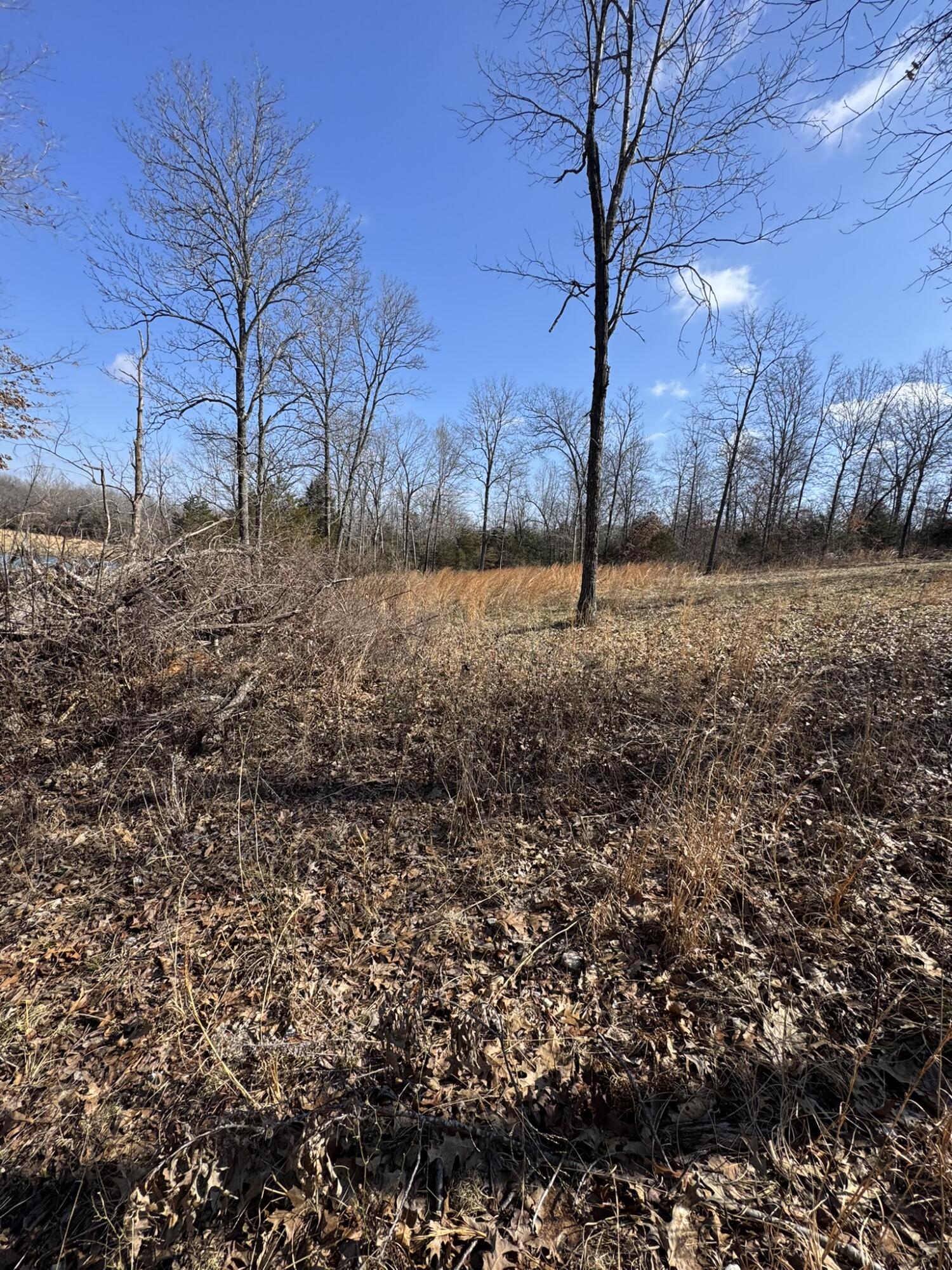 000 County Road 359 Property Photo 34