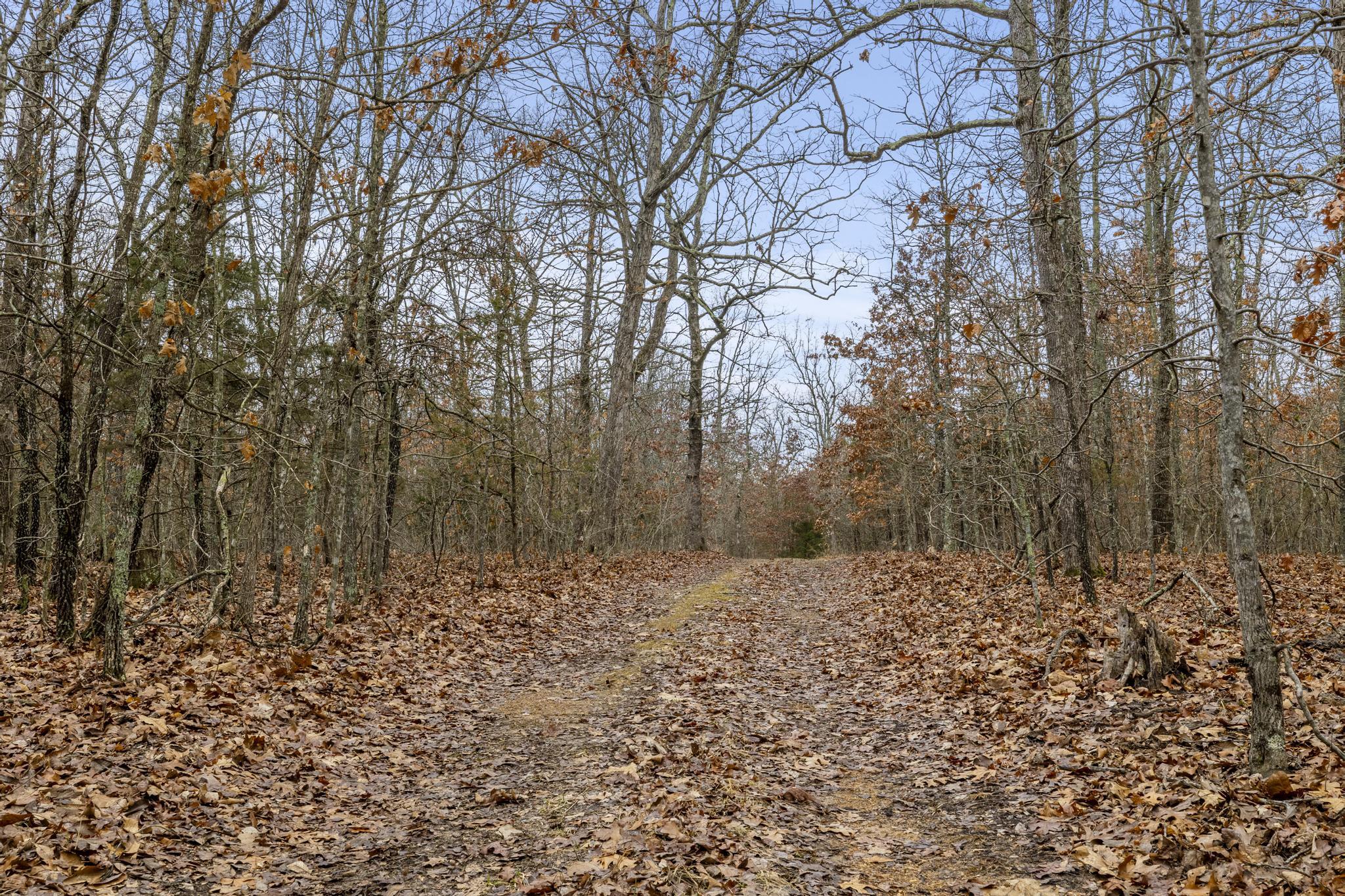 3802 Hatfield Road Property Photo 28