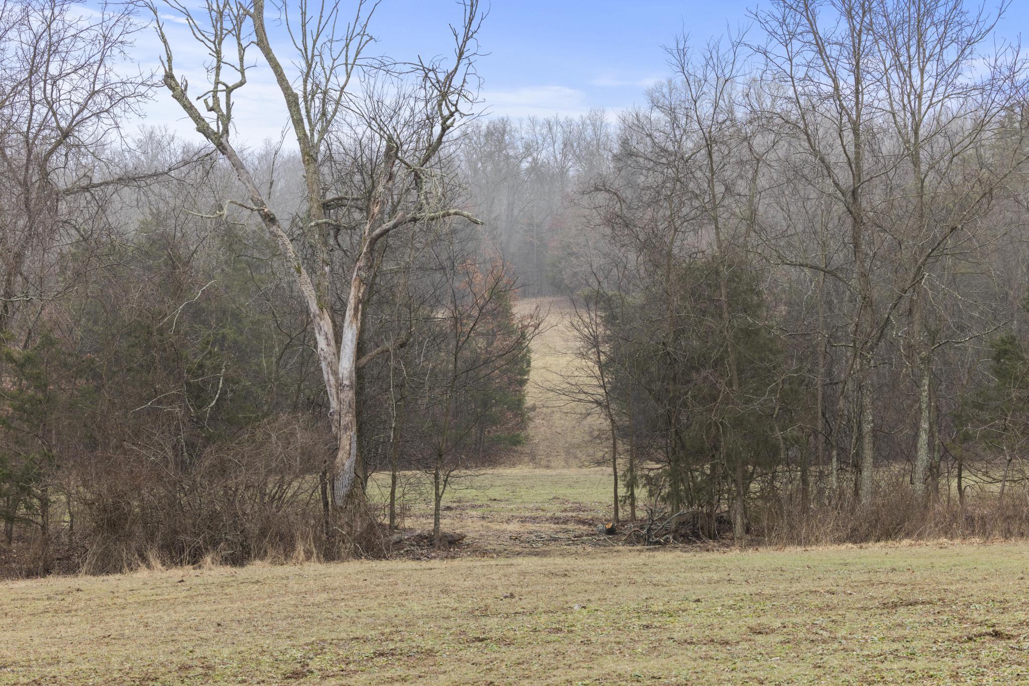 3802 Hatfield Road Property Photo 30