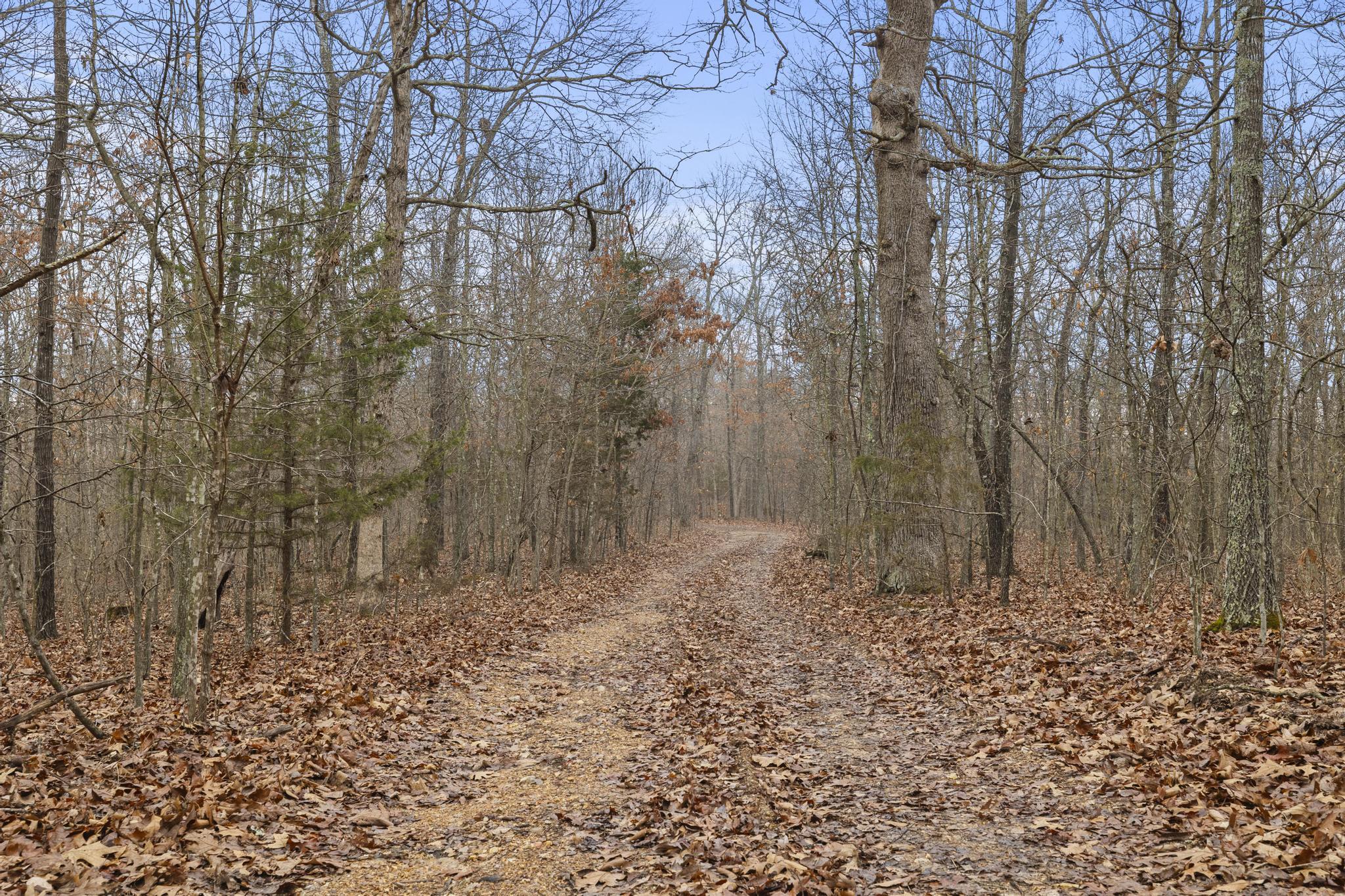 3802 Hatfield Road Property Photo 45