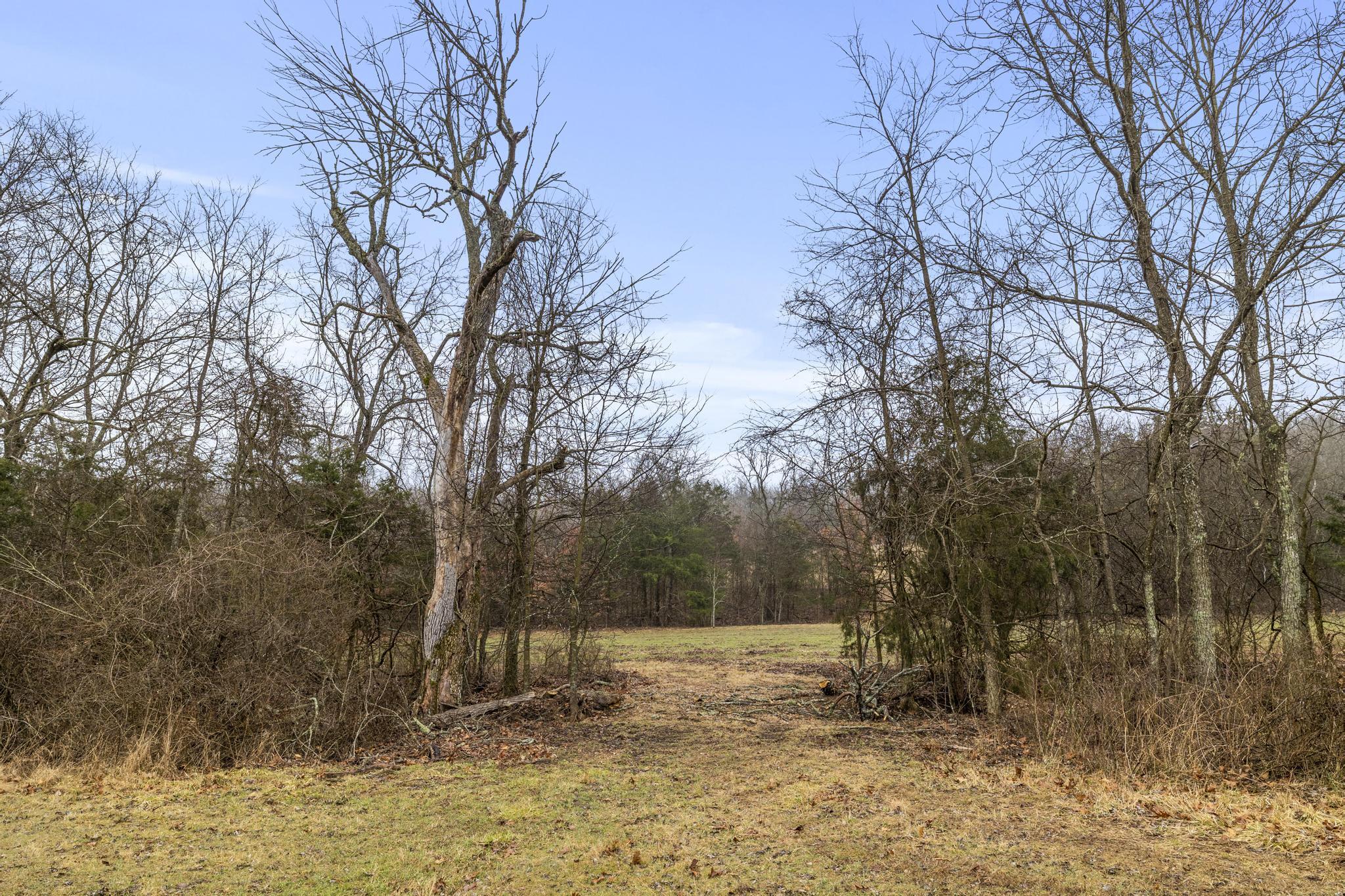3802 Hatfield Road Property Photo 51