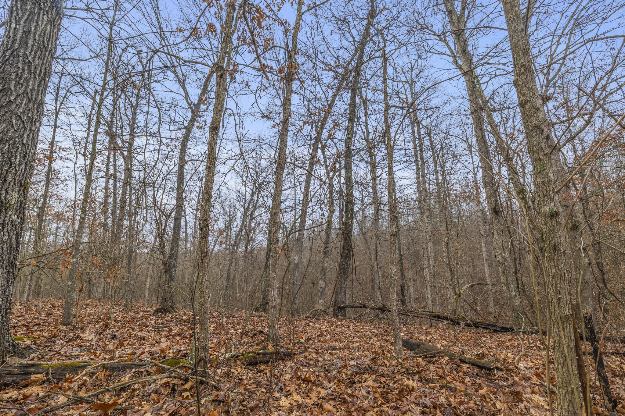3802 Hatfield Road Property Photo 61