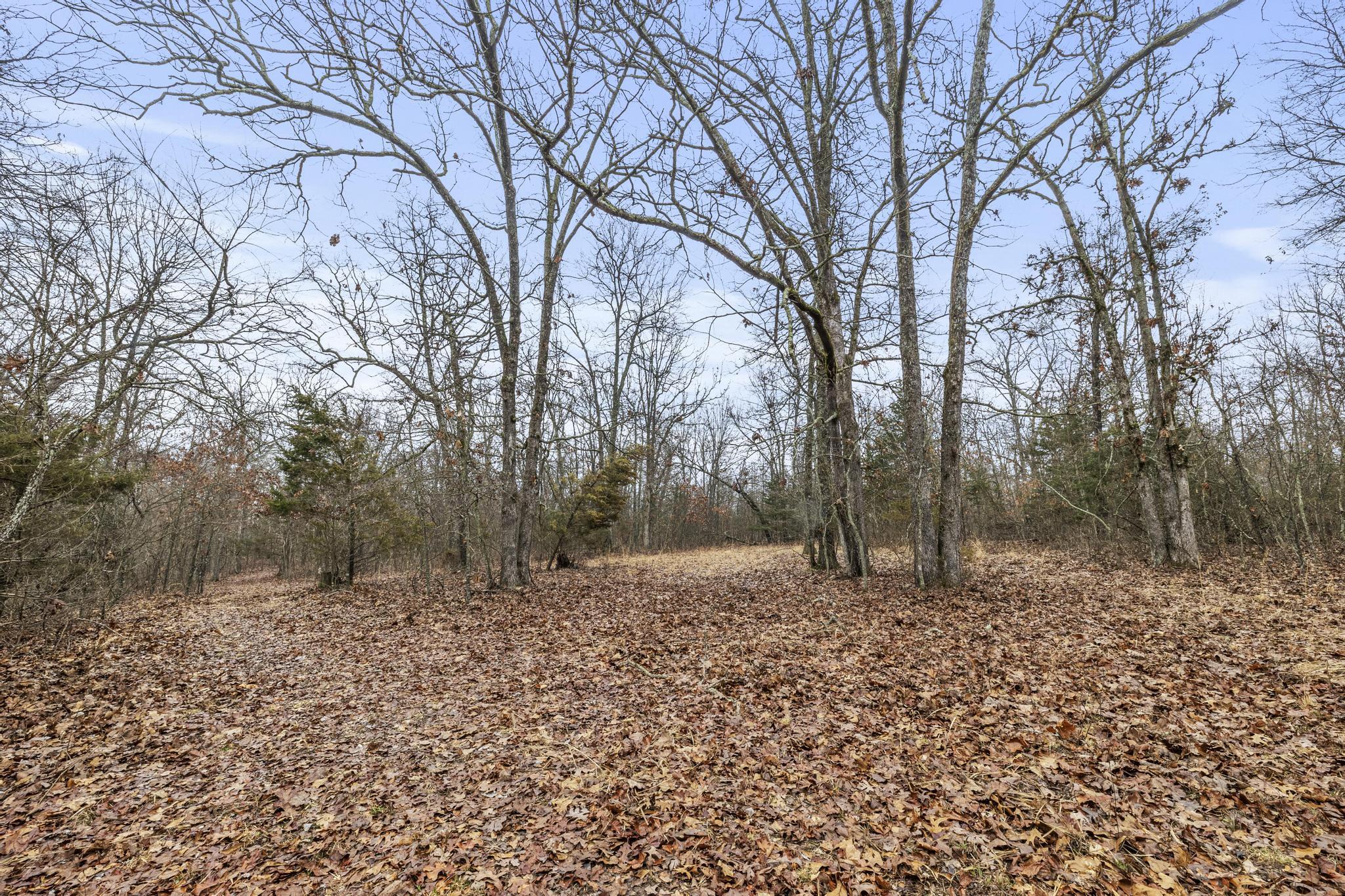 3802 Hatfield Road Property Photo 63