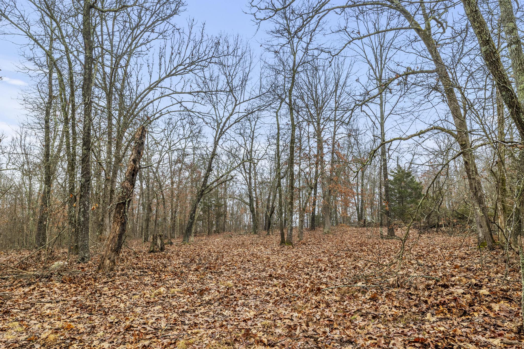 3802 Hatfield Road Property Photo 64