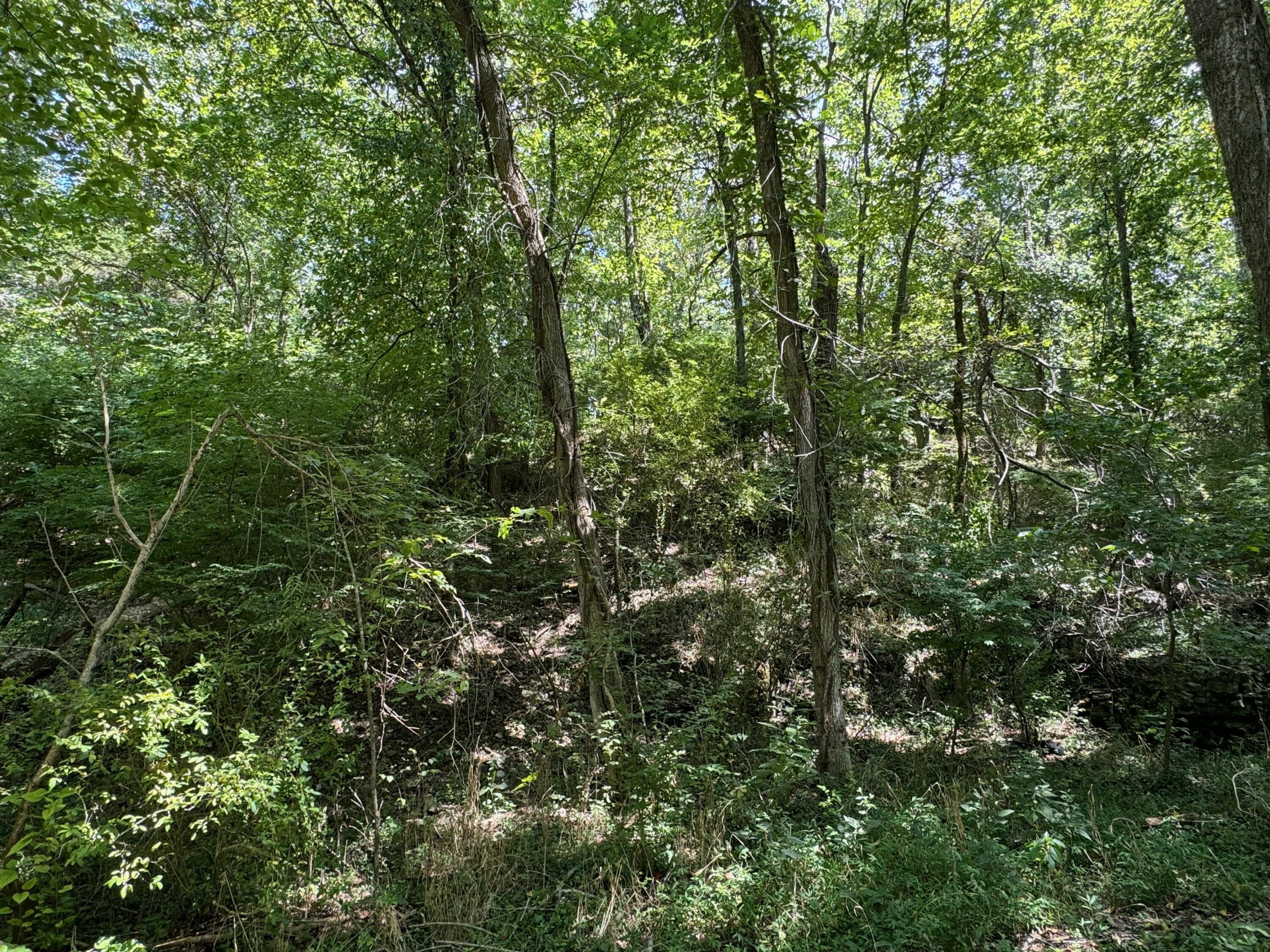550 North 10th Avenue Property Photo 3