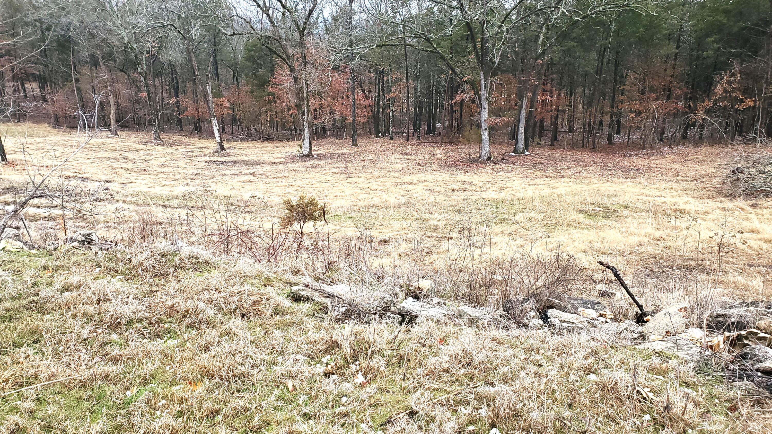 000 Lot 177 Silver Sunset Lane Property Photo 1