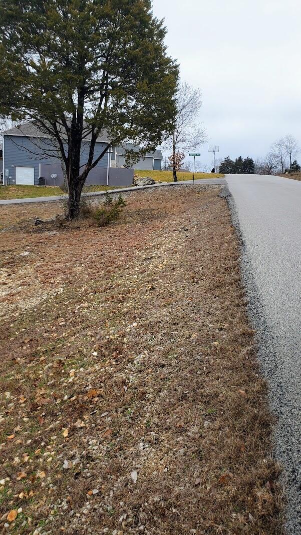 000 Lot 177 Silver Sunset Lane Property Photo 3