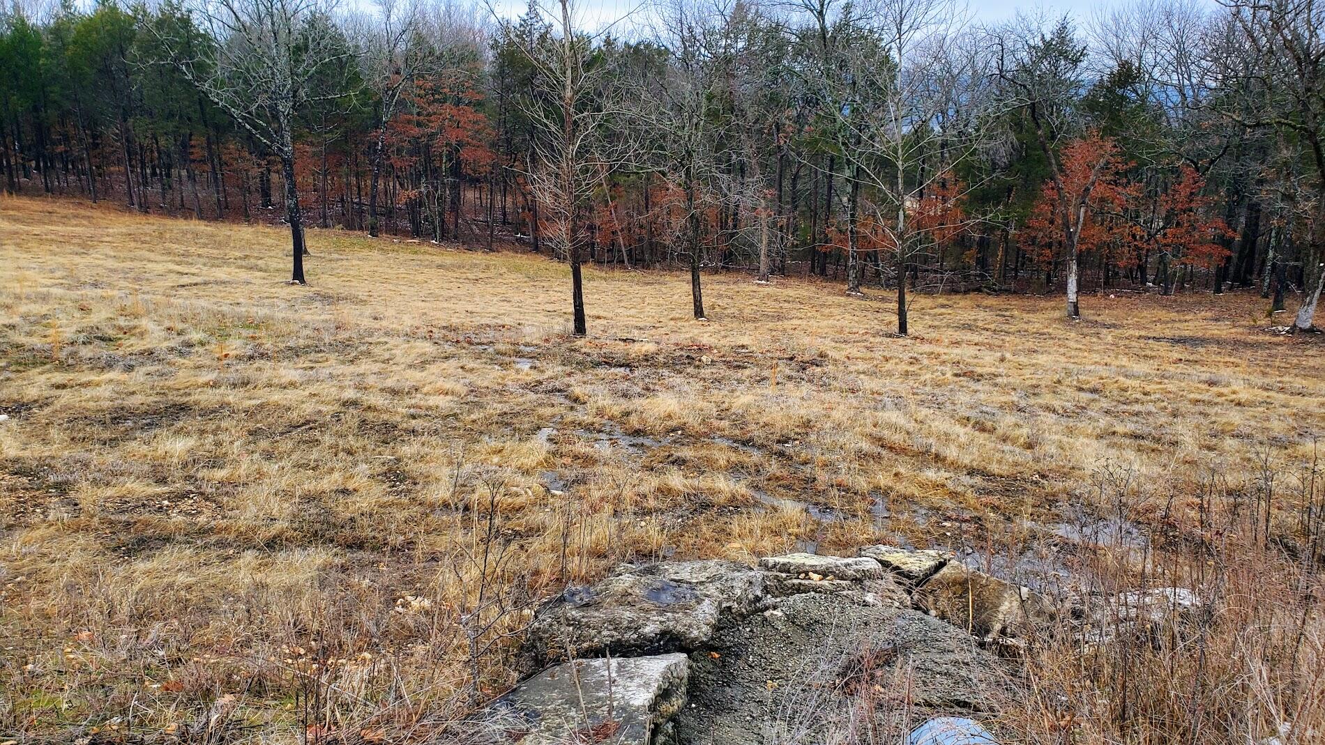 000 Lot 178 Silver Sunset Lane Property Photo 1