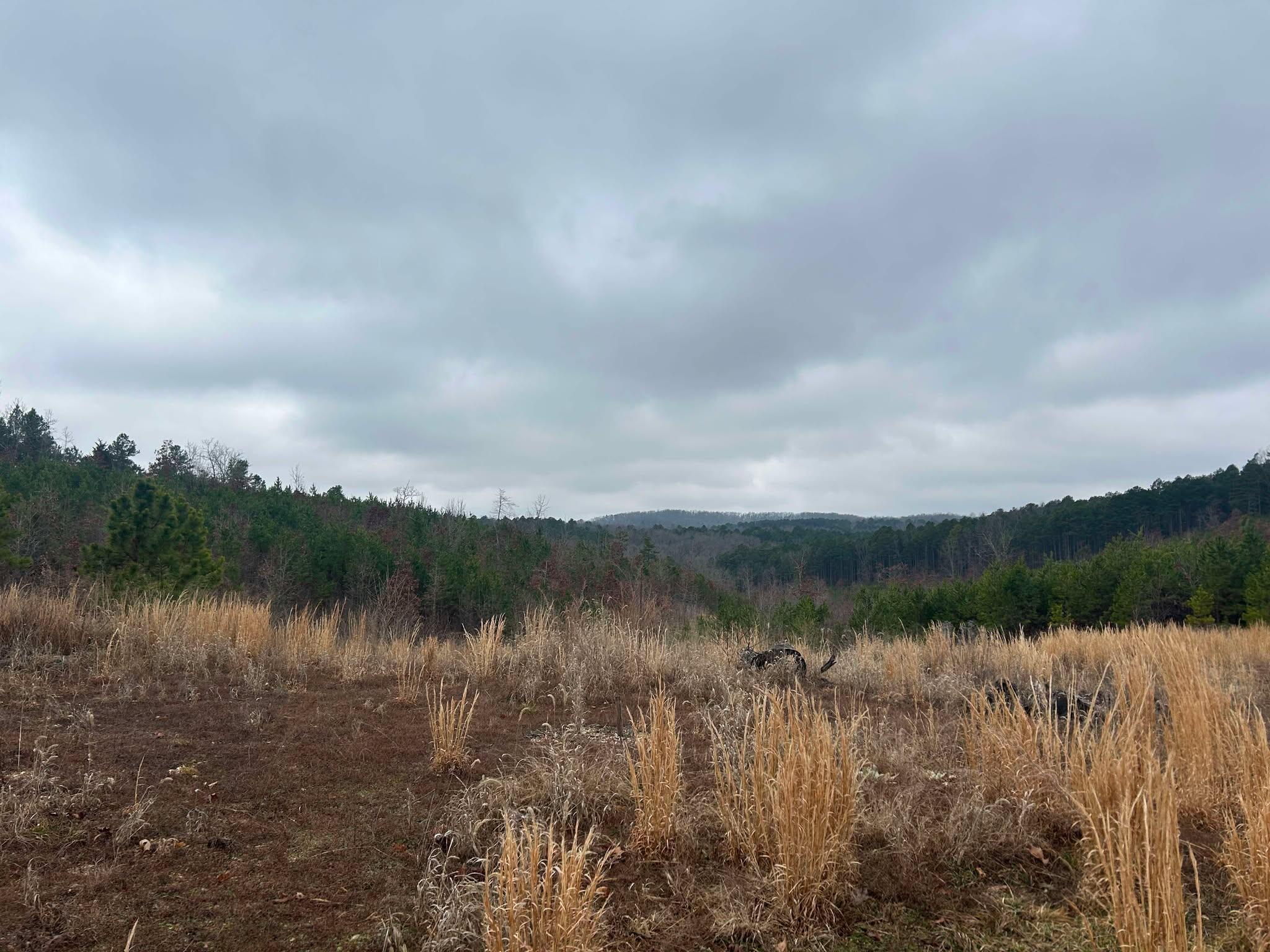 Tbd County Road C-230 Property Photo
