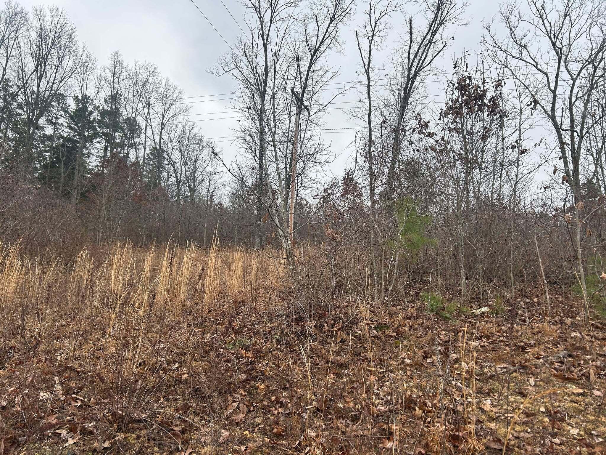 Tbd County Road C-230 Property Photo 2