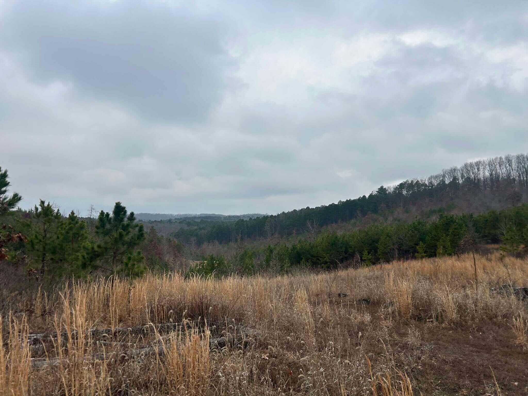 Tbd County Road C-230 Property Photo 3