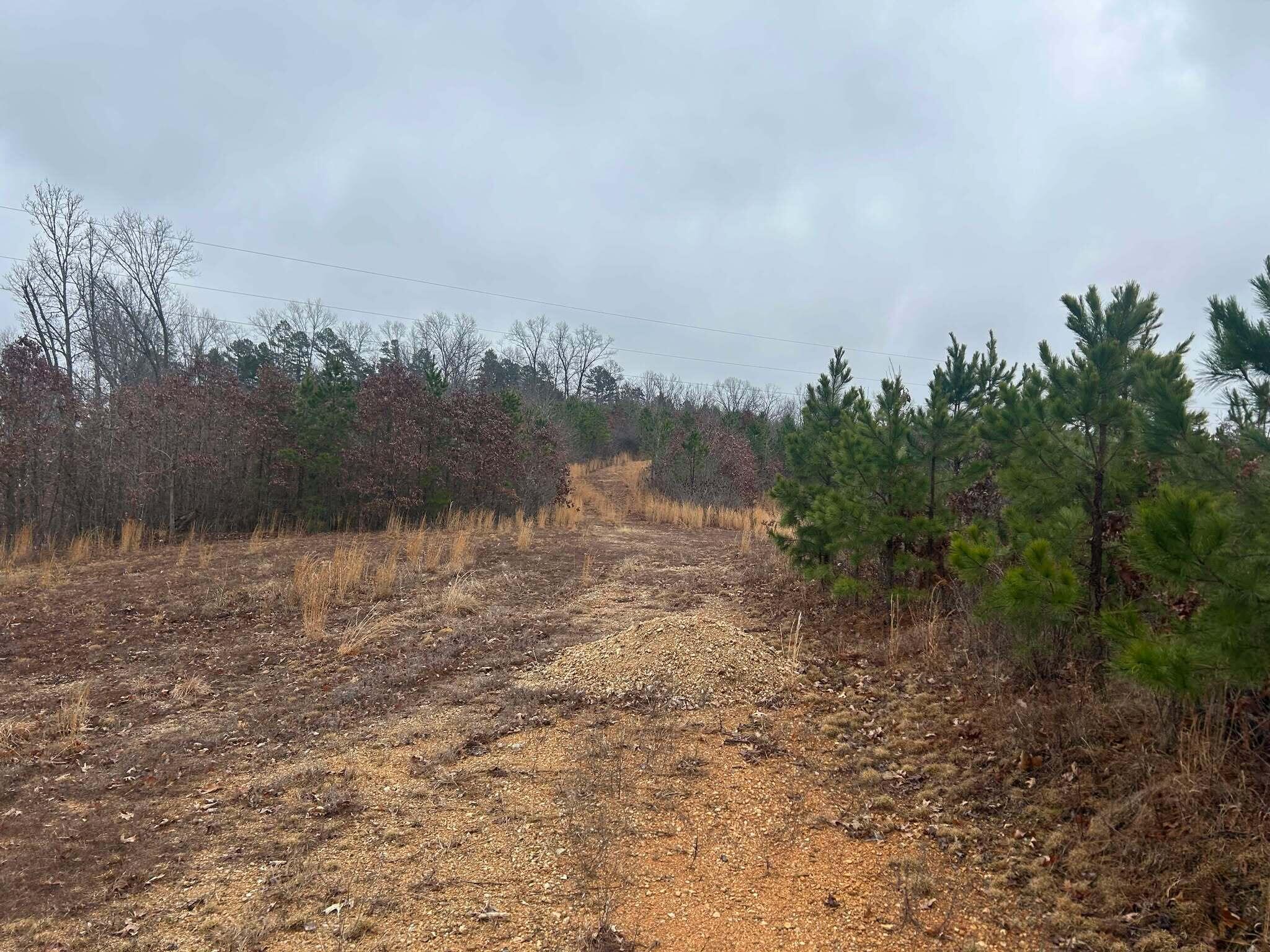 Tbd County Road C-230 Property Photo 4