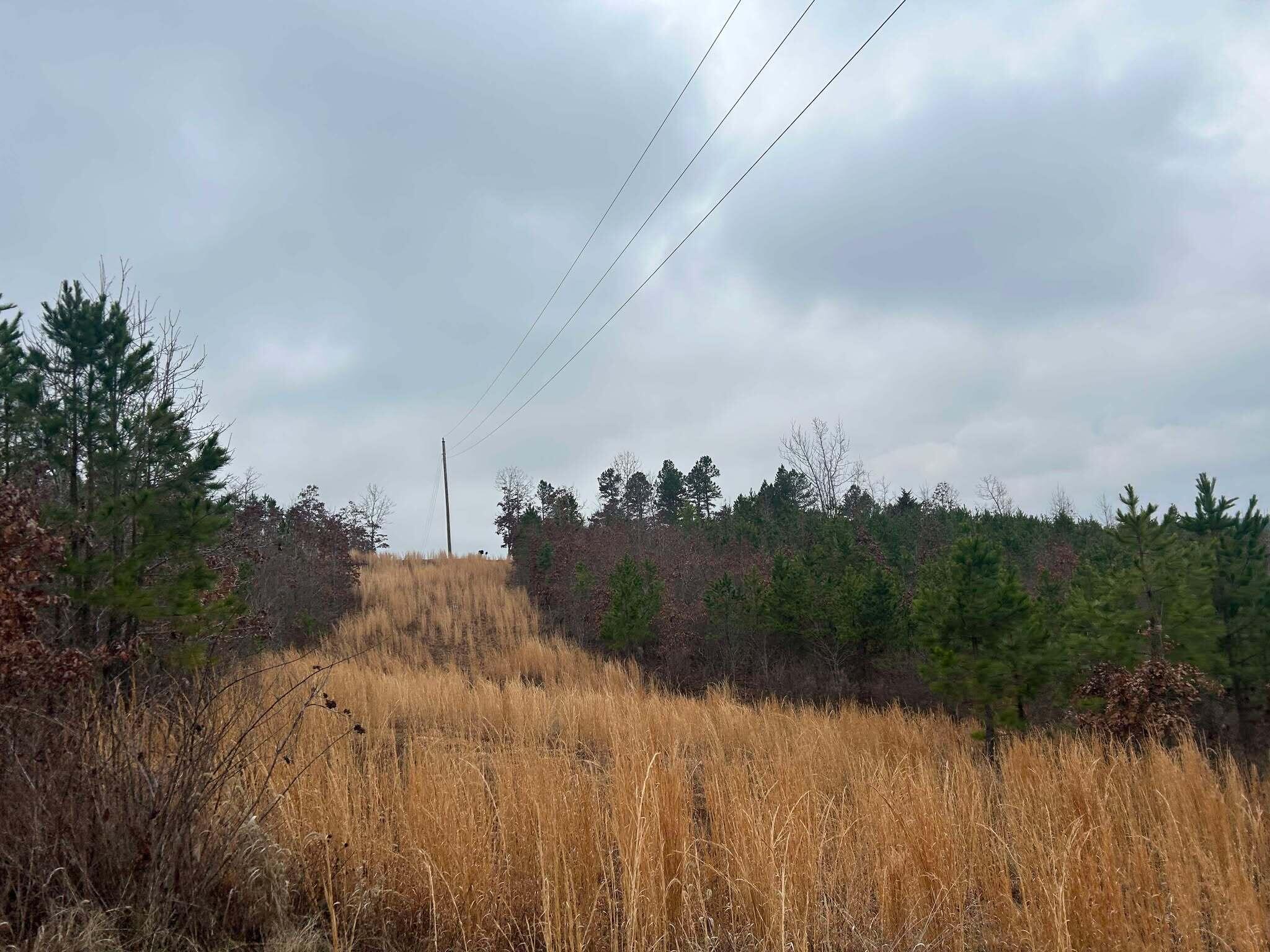 Tbd County Road C-230 Property Photo 7