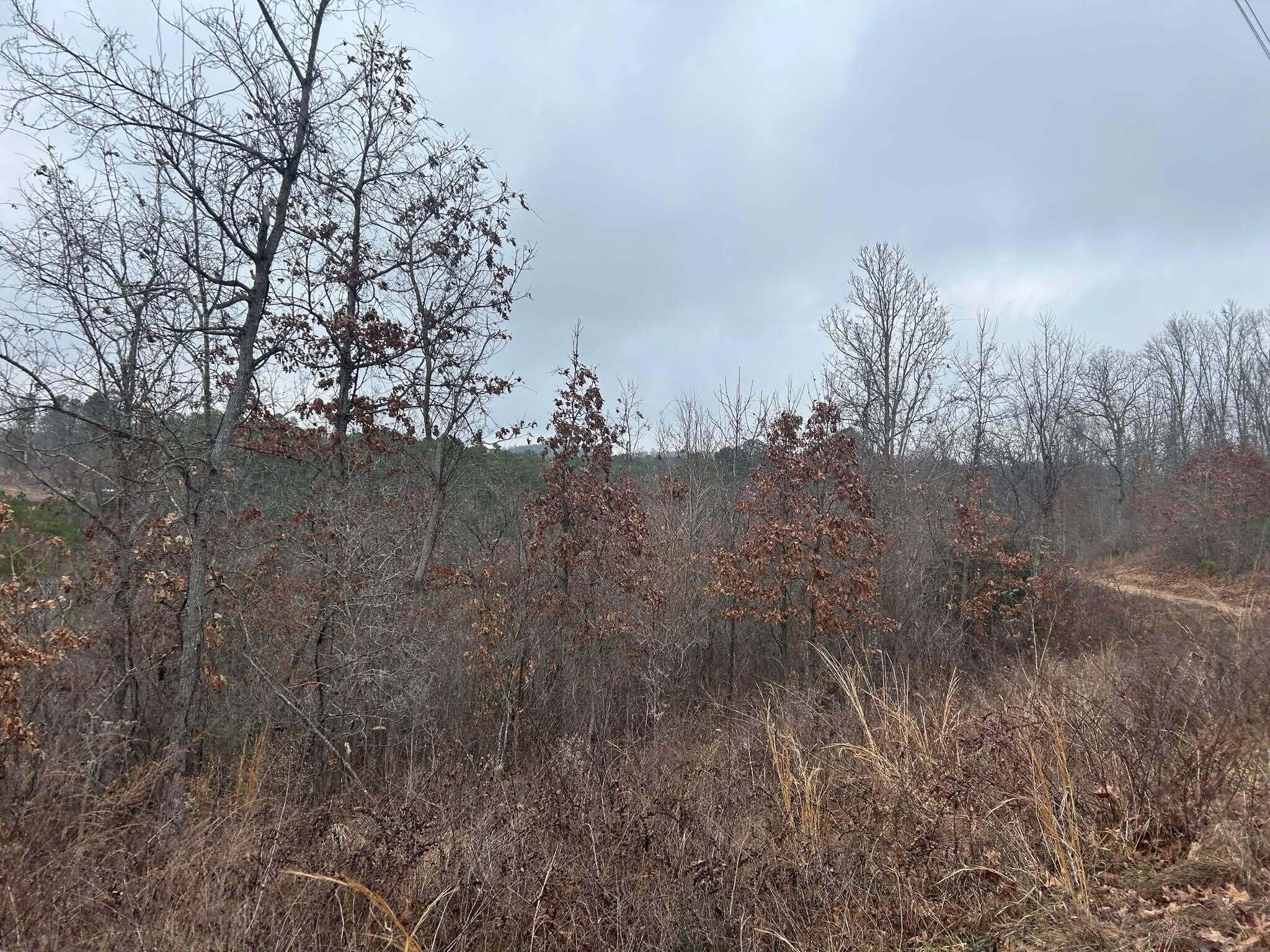 Tbd County Road C-230 Property Photo 8