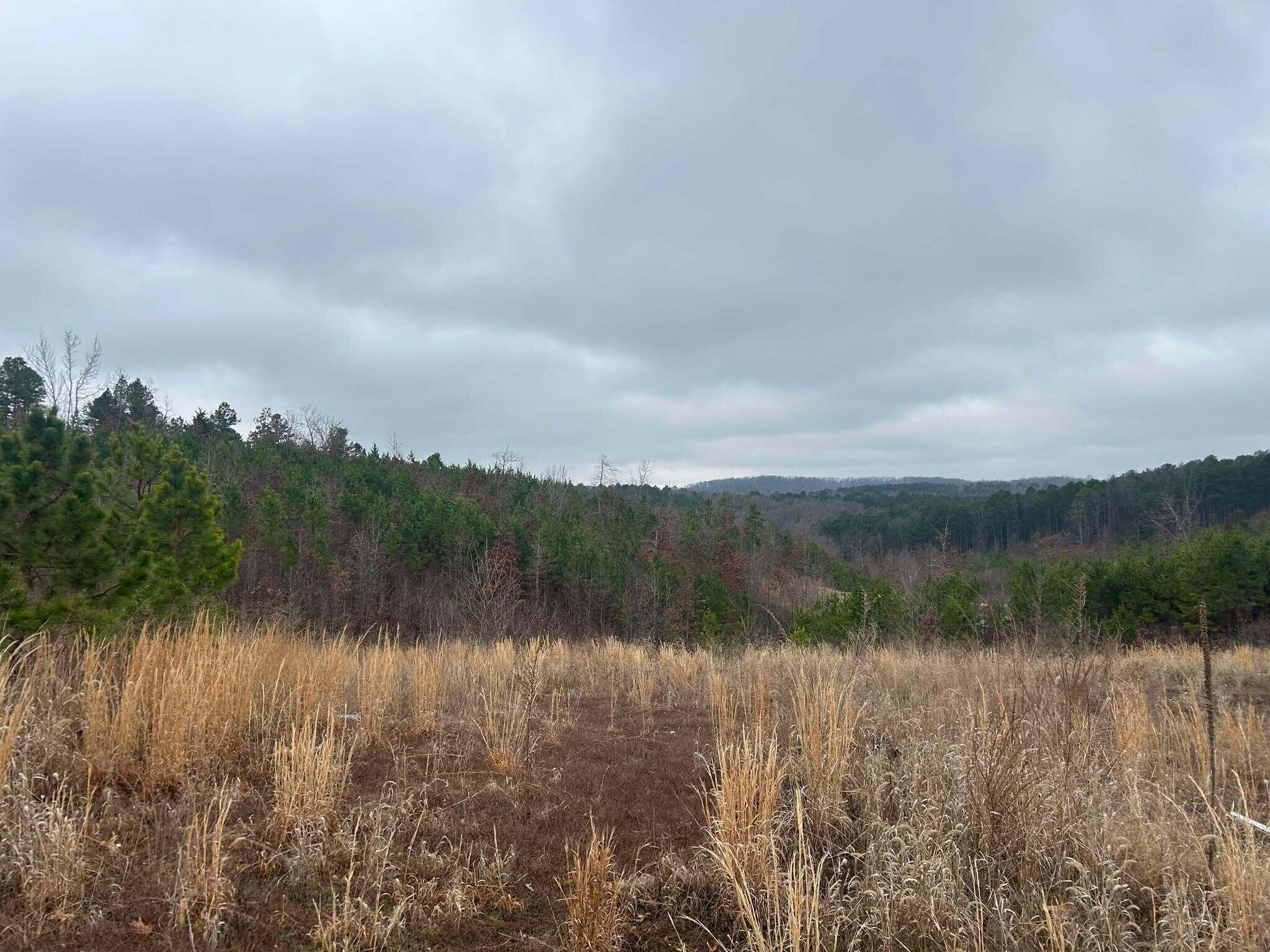 Tbd County Road C-230 Property Photo 9