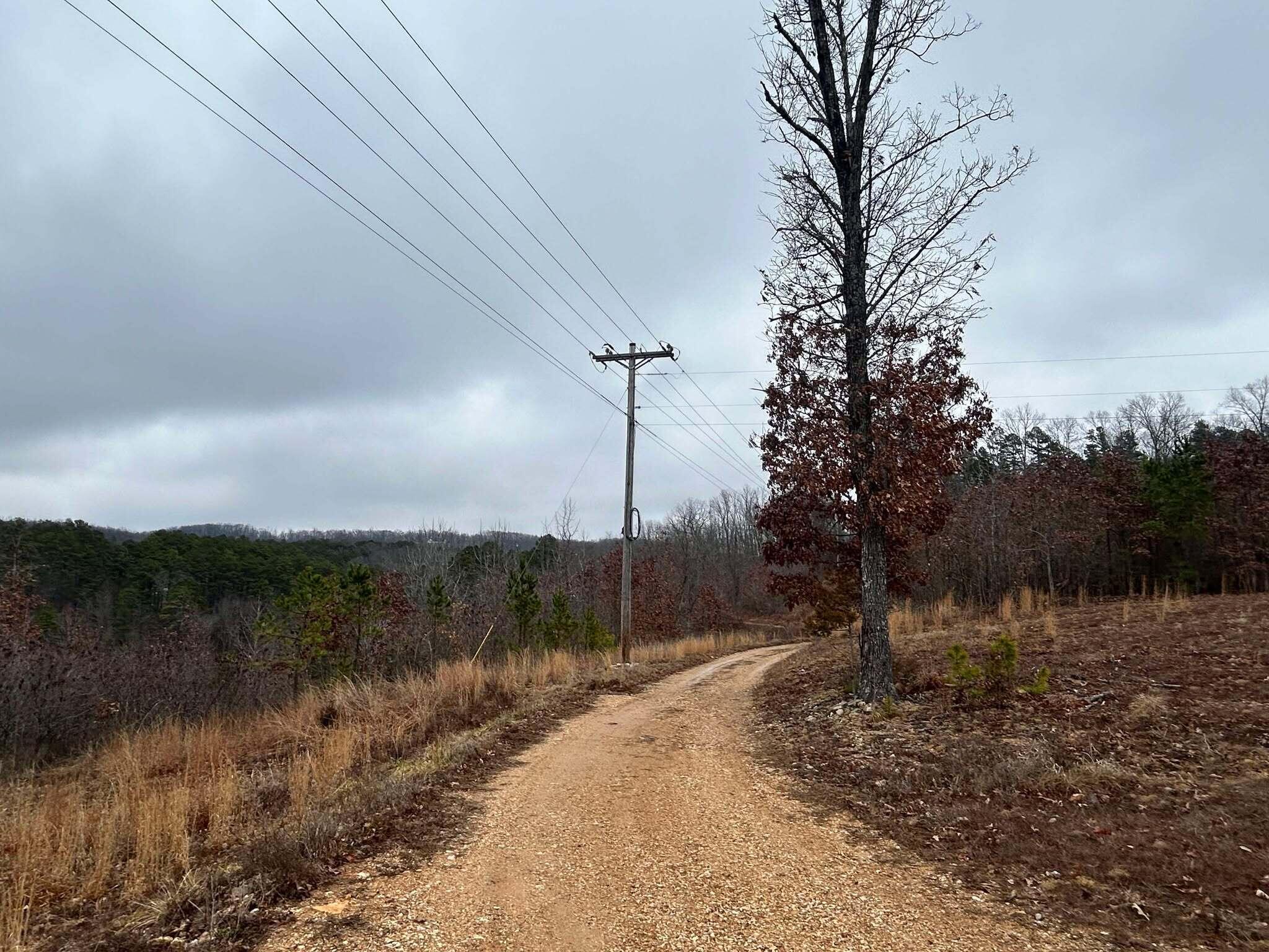 Tbd County Road C-230 Property Photo 10