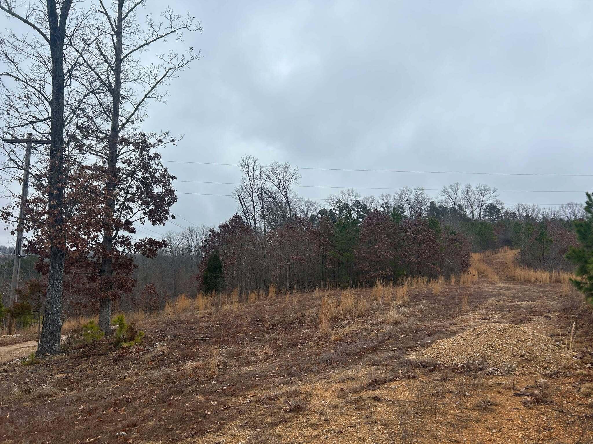 Tbd County Road C-230 Property Photo 12