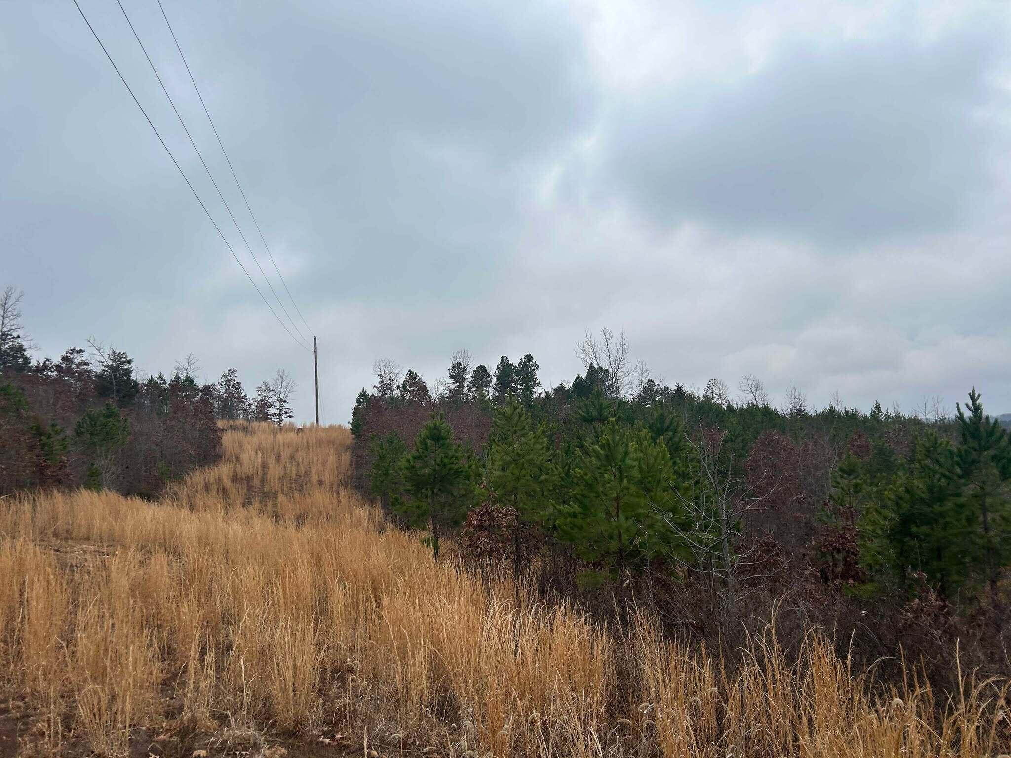Tbd County Road C-230 Property Photo 15
