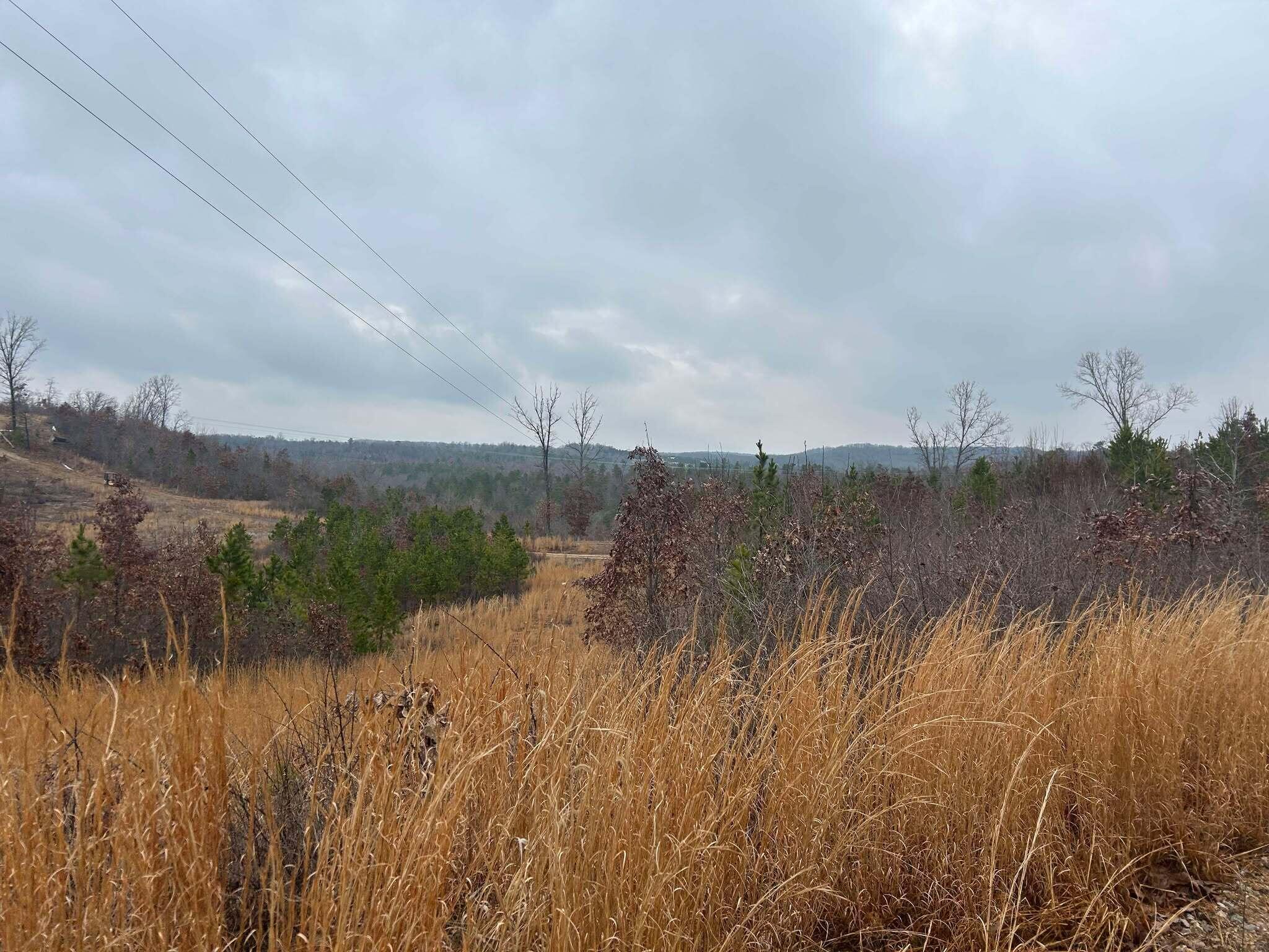 Tbd County Road C-230 Property Photo 16