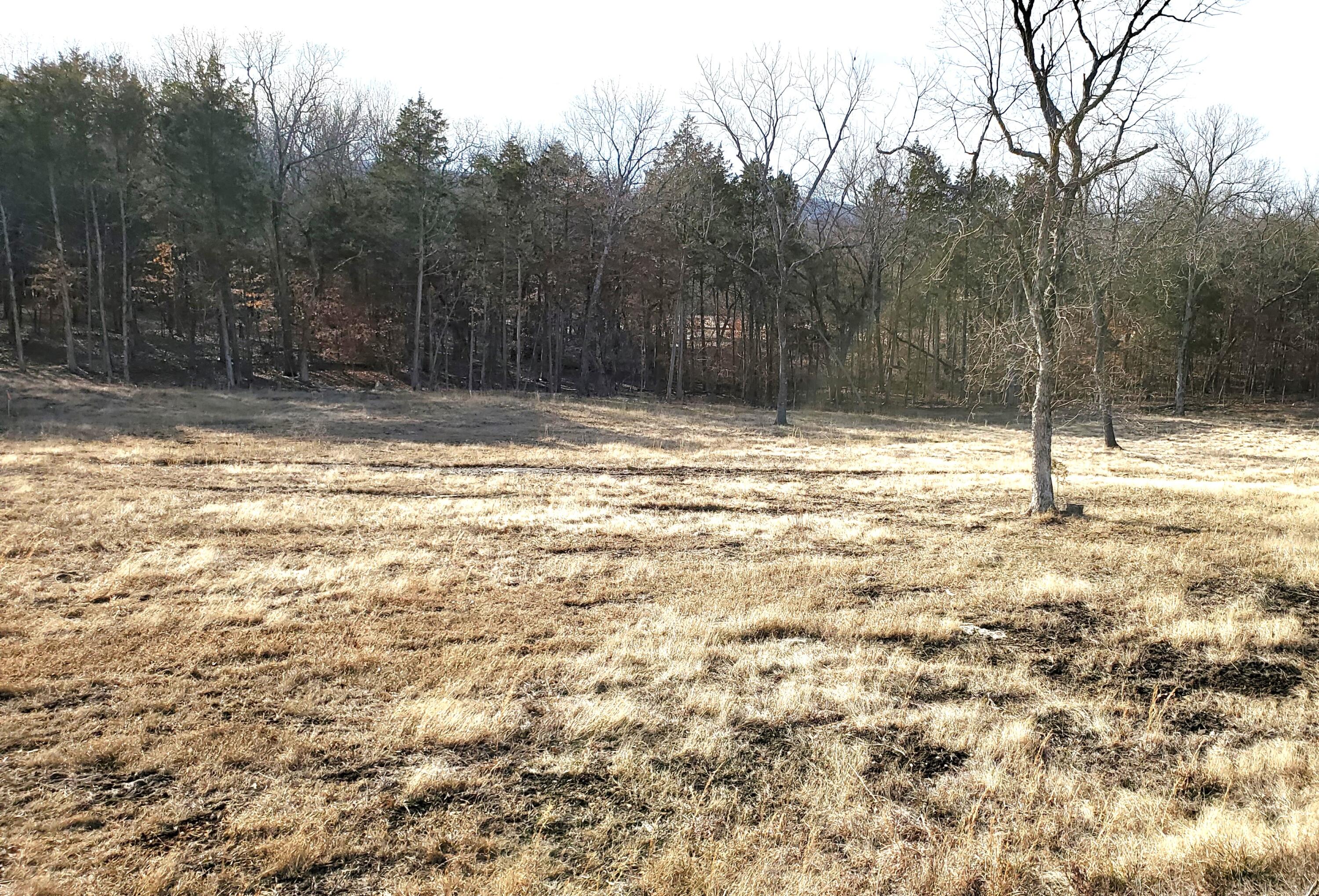 000 Lot 179 Silver Sunset Lane Property Photo 1
