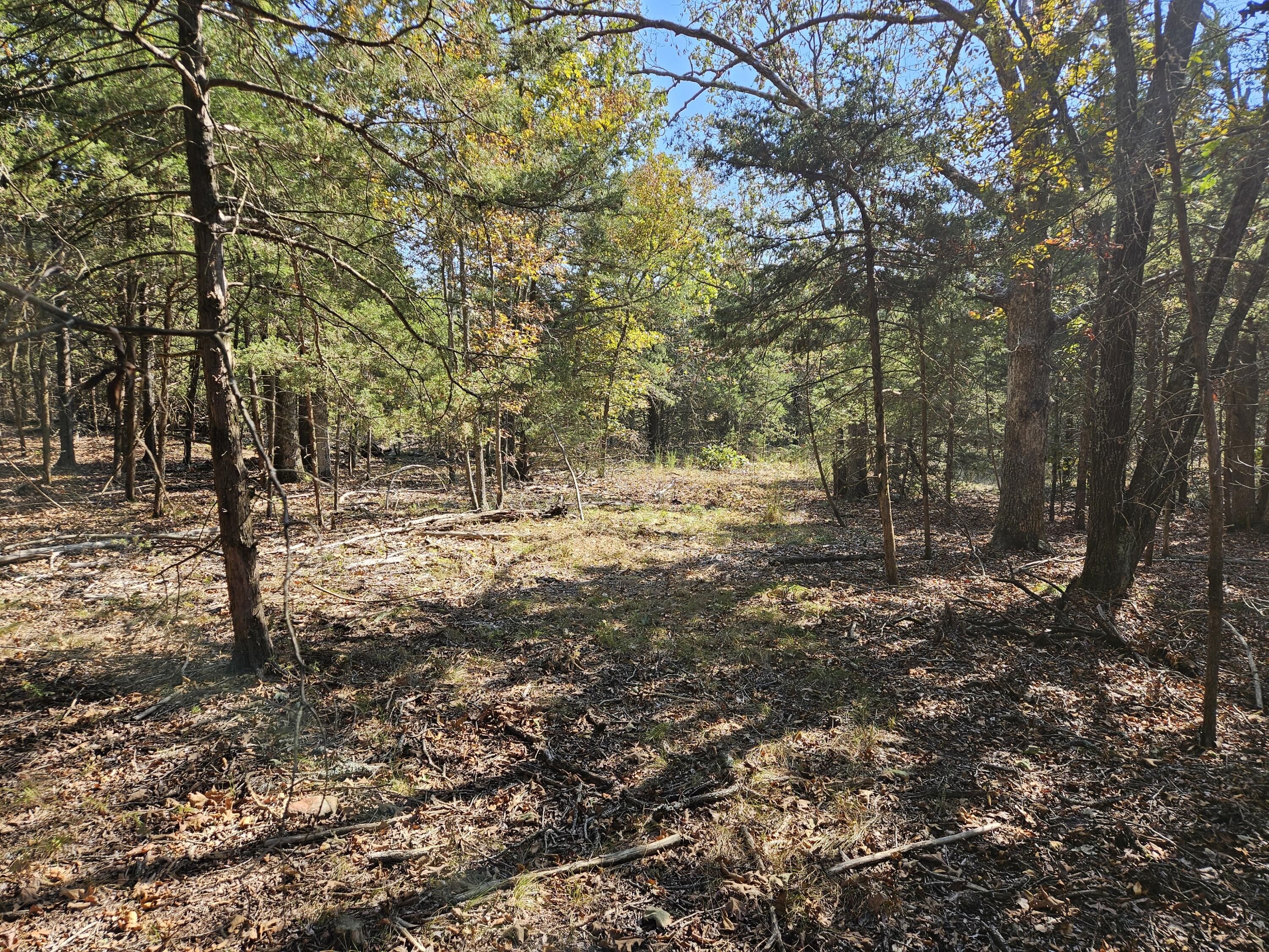 23851 State Highway 174 Property Photo 54