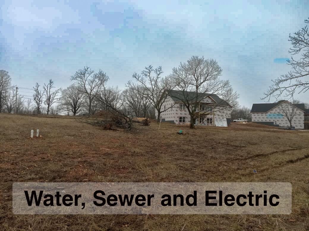 202 Wilderness Pines Lane Property Photo 2