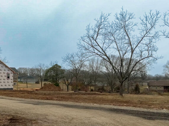 202 Wilderness Pines Lane Property Photo 4