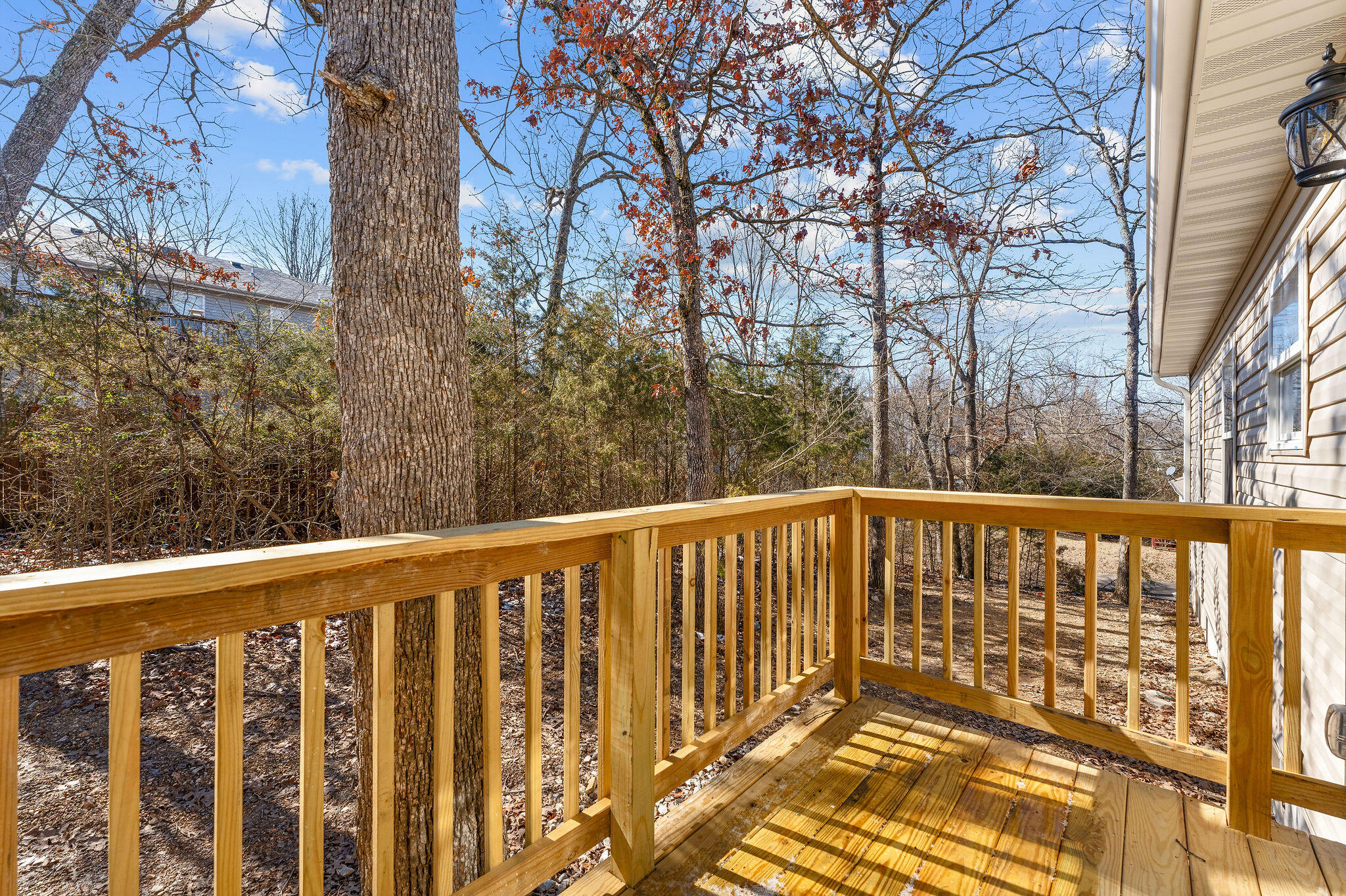 42 Apostle Road Property Photo 24
