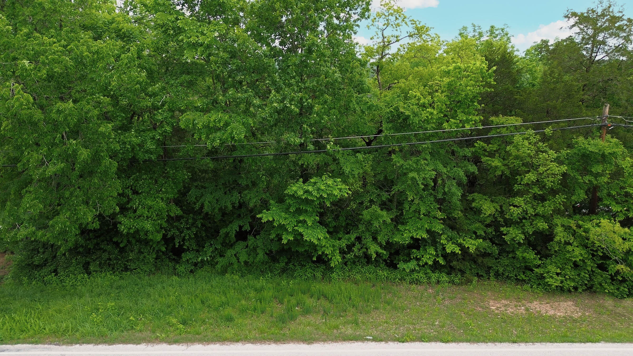 591 State Highway Y Property Photo 8