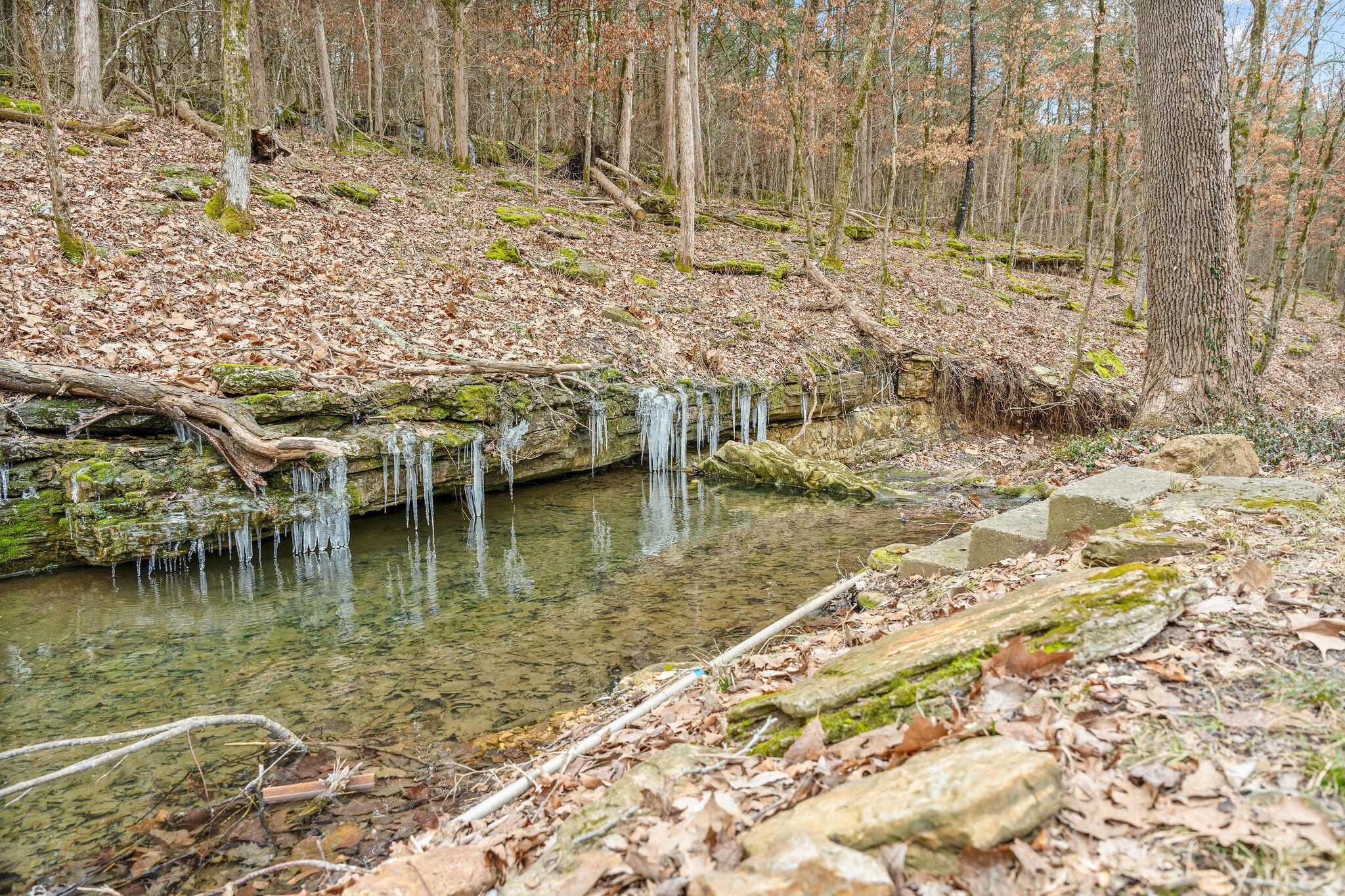 15430 Old Cricket Road West Property Photo 39