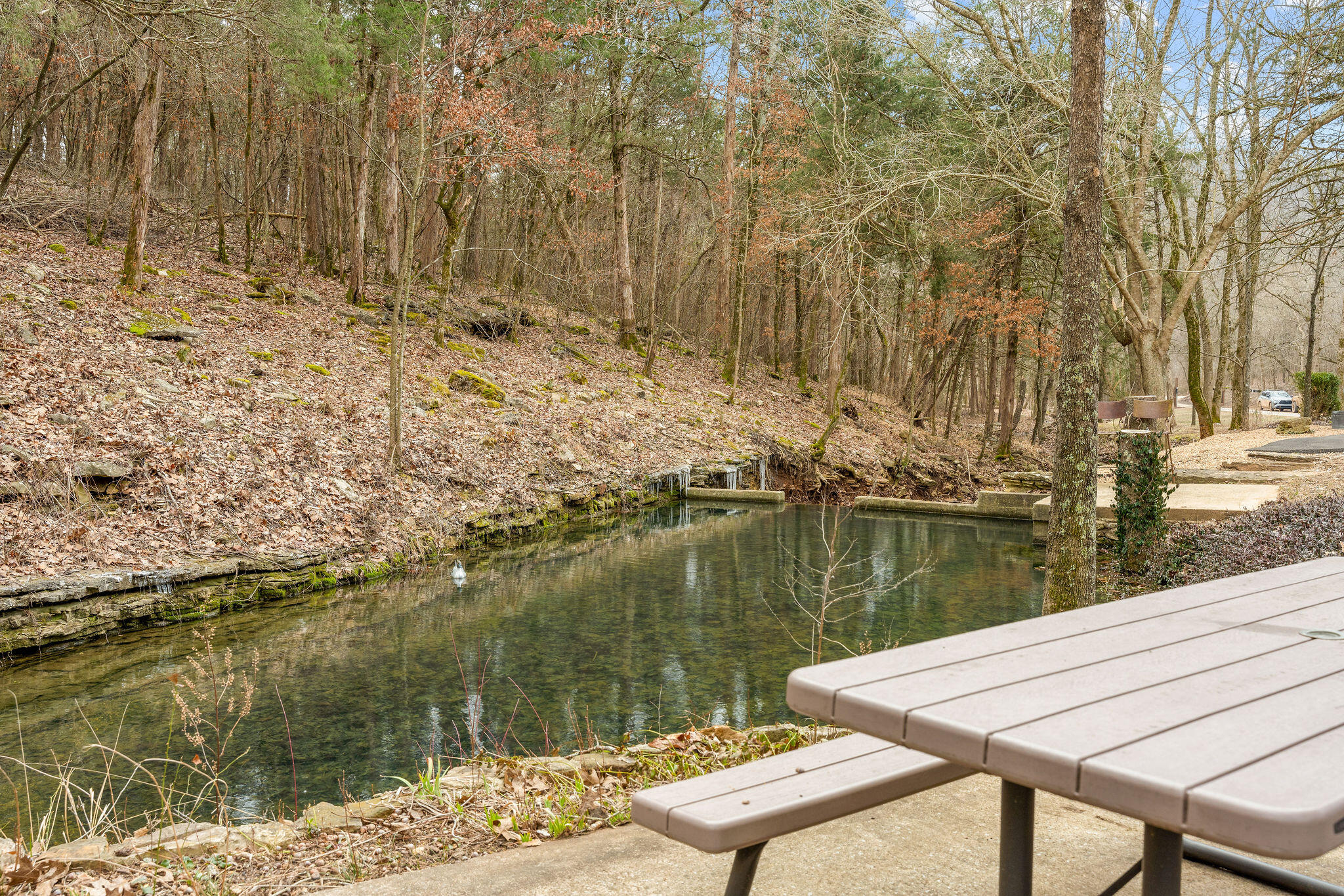 15430 Old Cricket Road West Property Photo 42