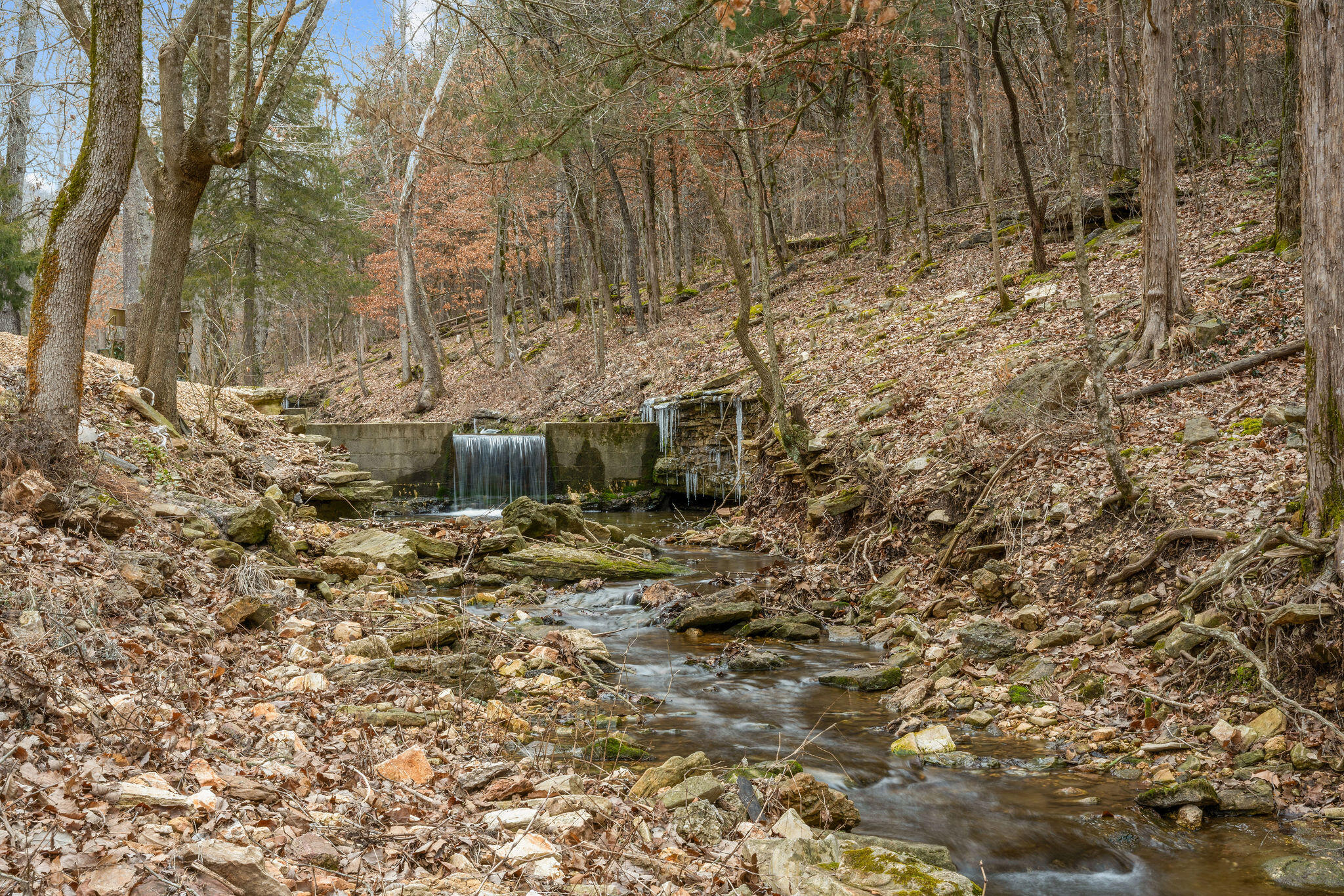 15430 Old Cricket Road West Property Photo 44