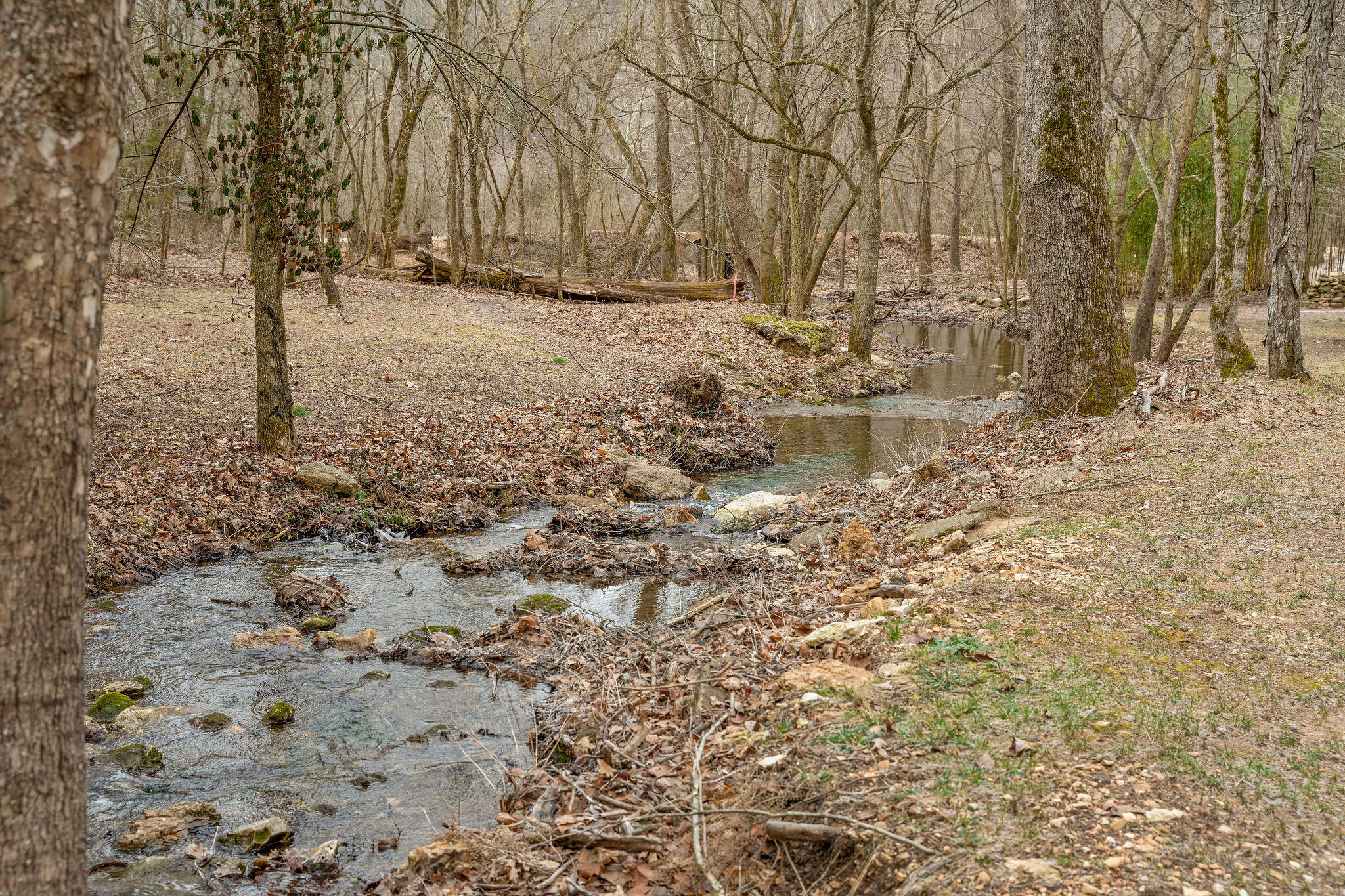 15430 Old Cricket Road West Property Photo 45