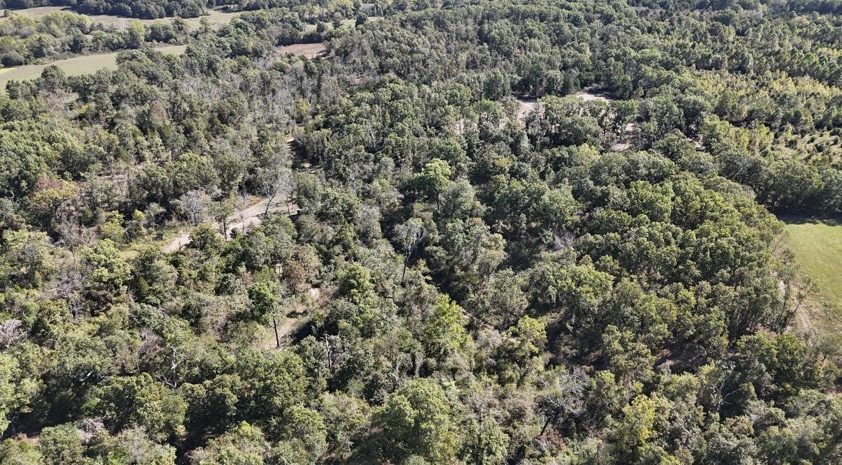 00 Highway Z Property Photo 47