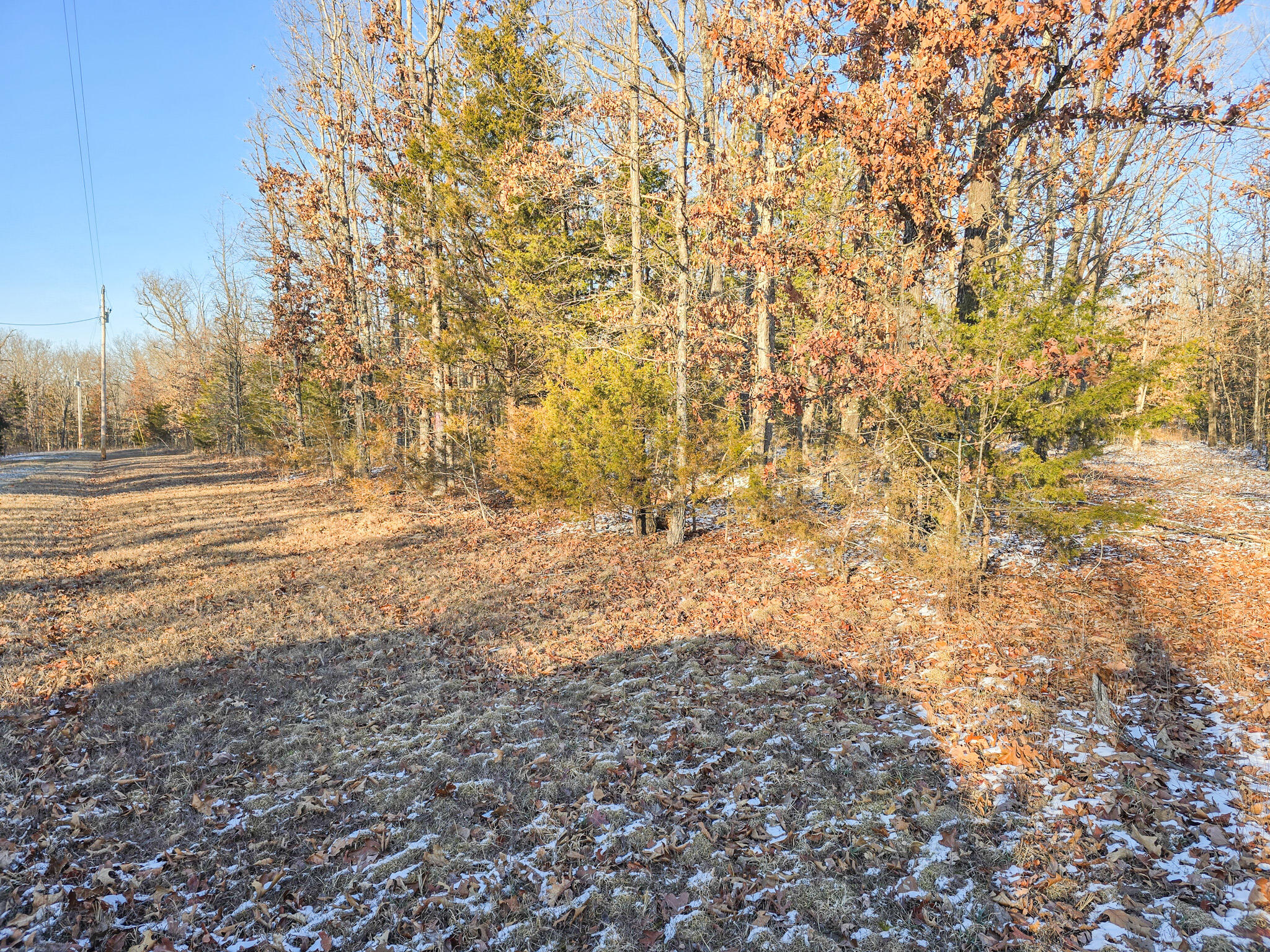 001 Cedar Lane Property Photo 2