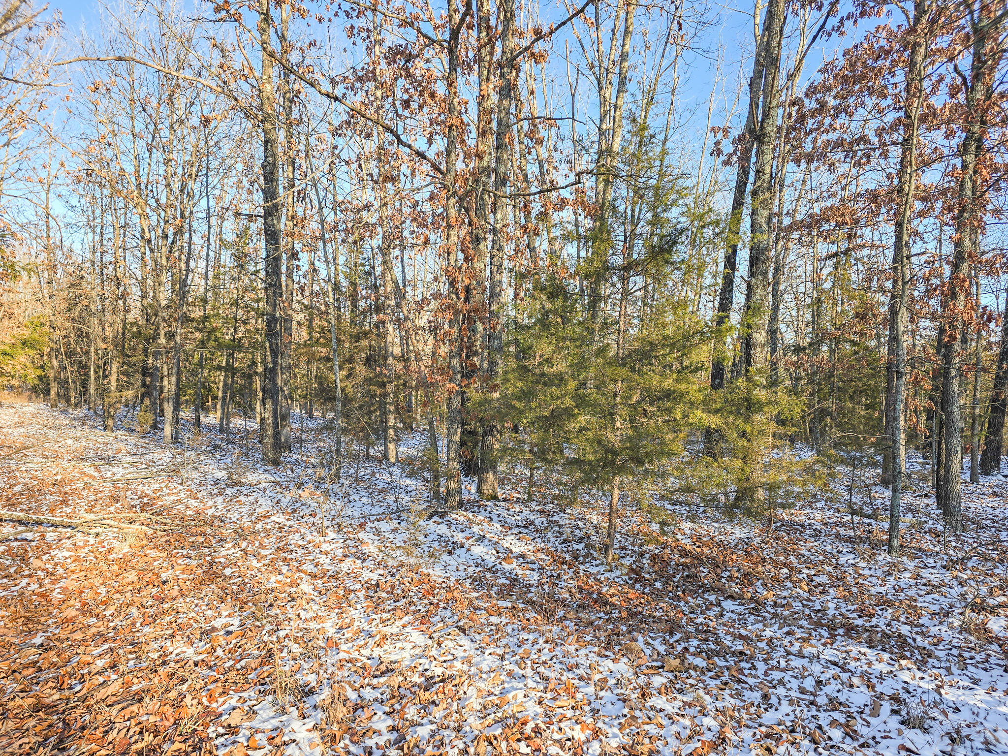 001 Cedar Lane Property Photo 3